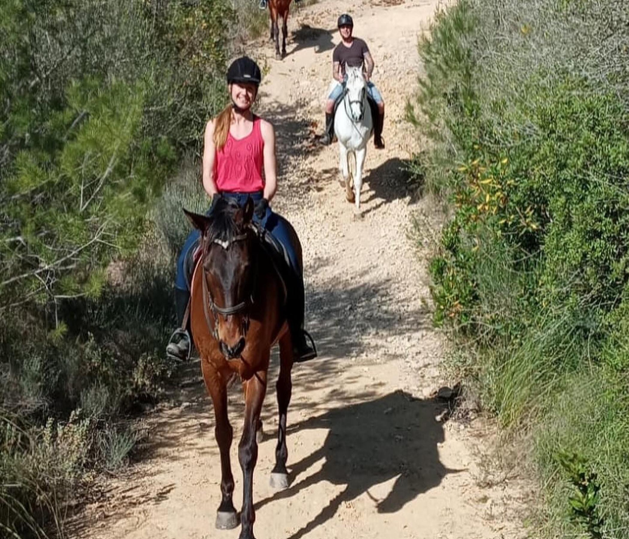 Mallorca Horses