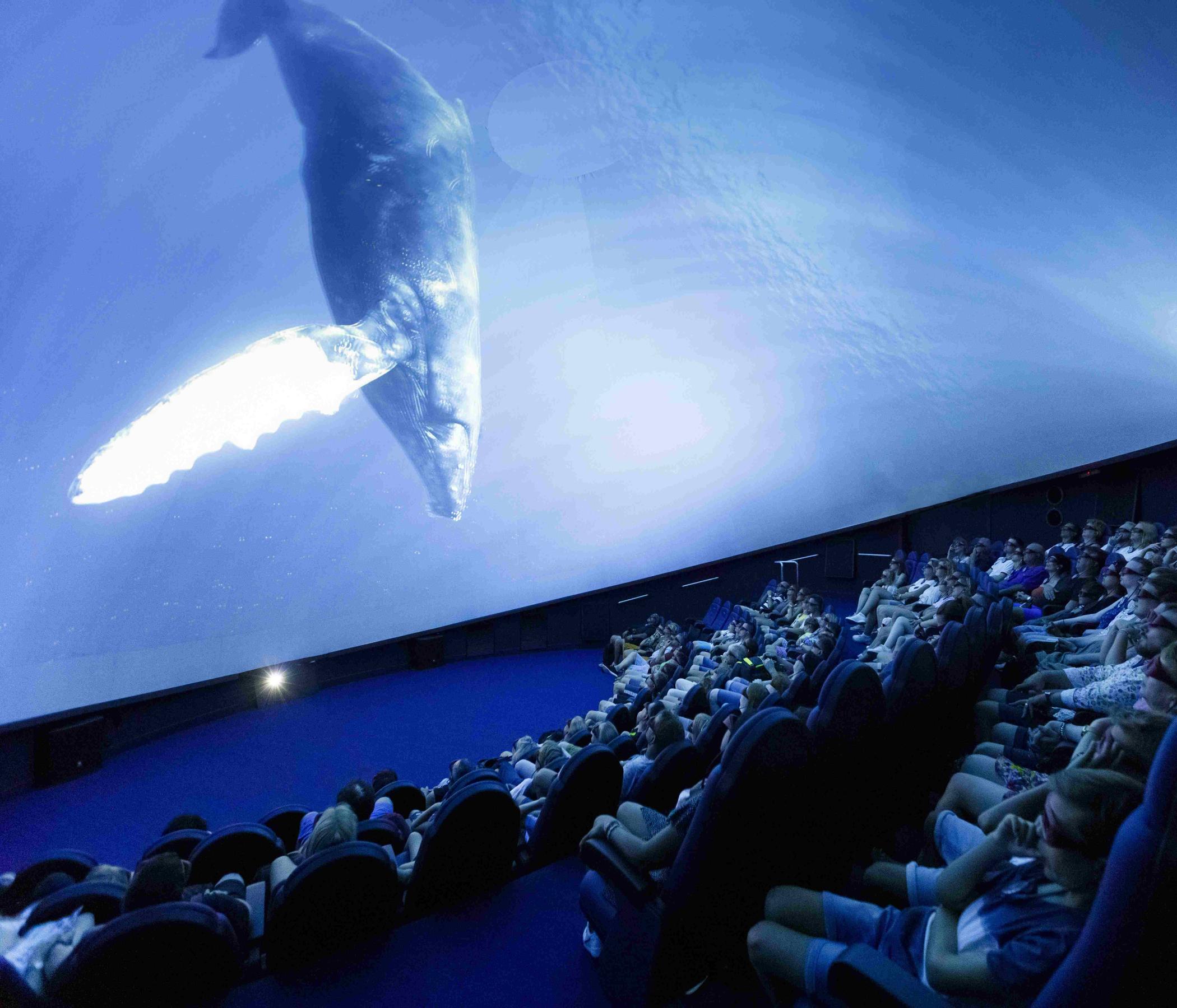 Palma Aquarium