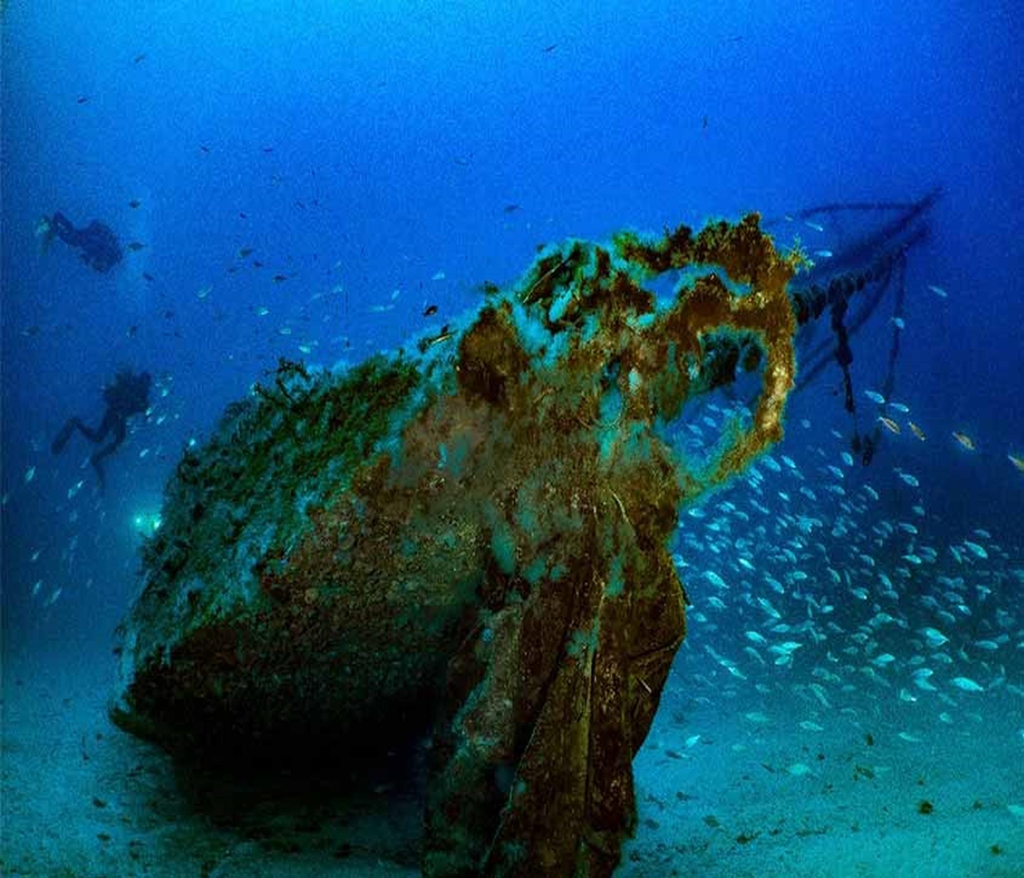 Discover Scuba