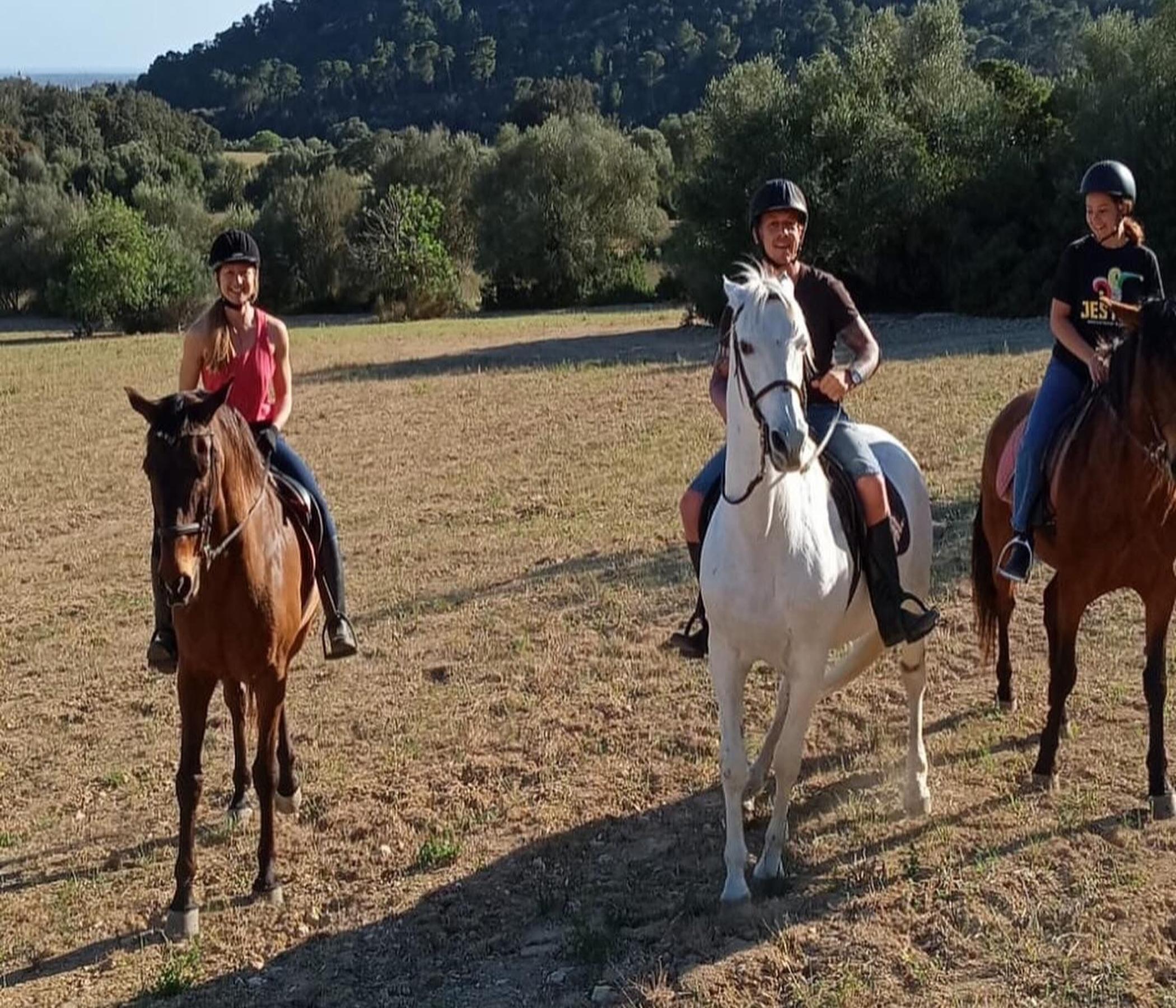 Mallorca Horses