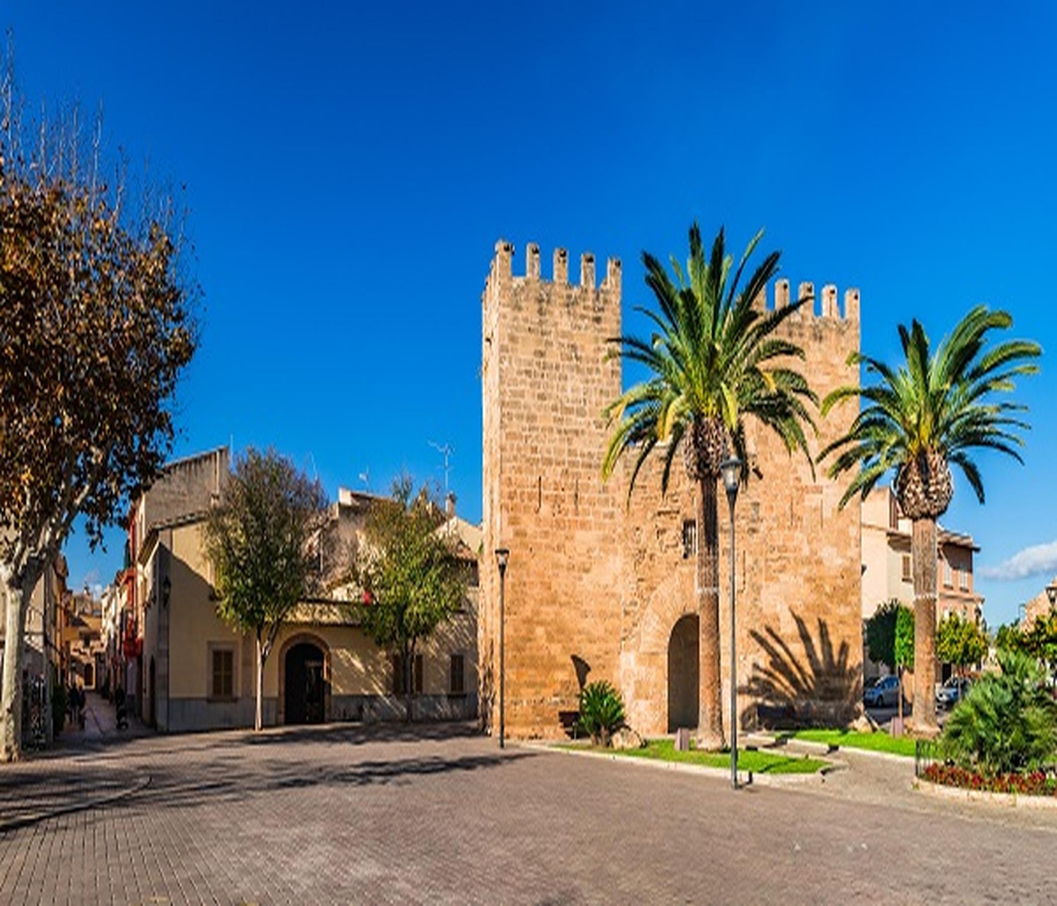 Markt Alcudia & Formentor