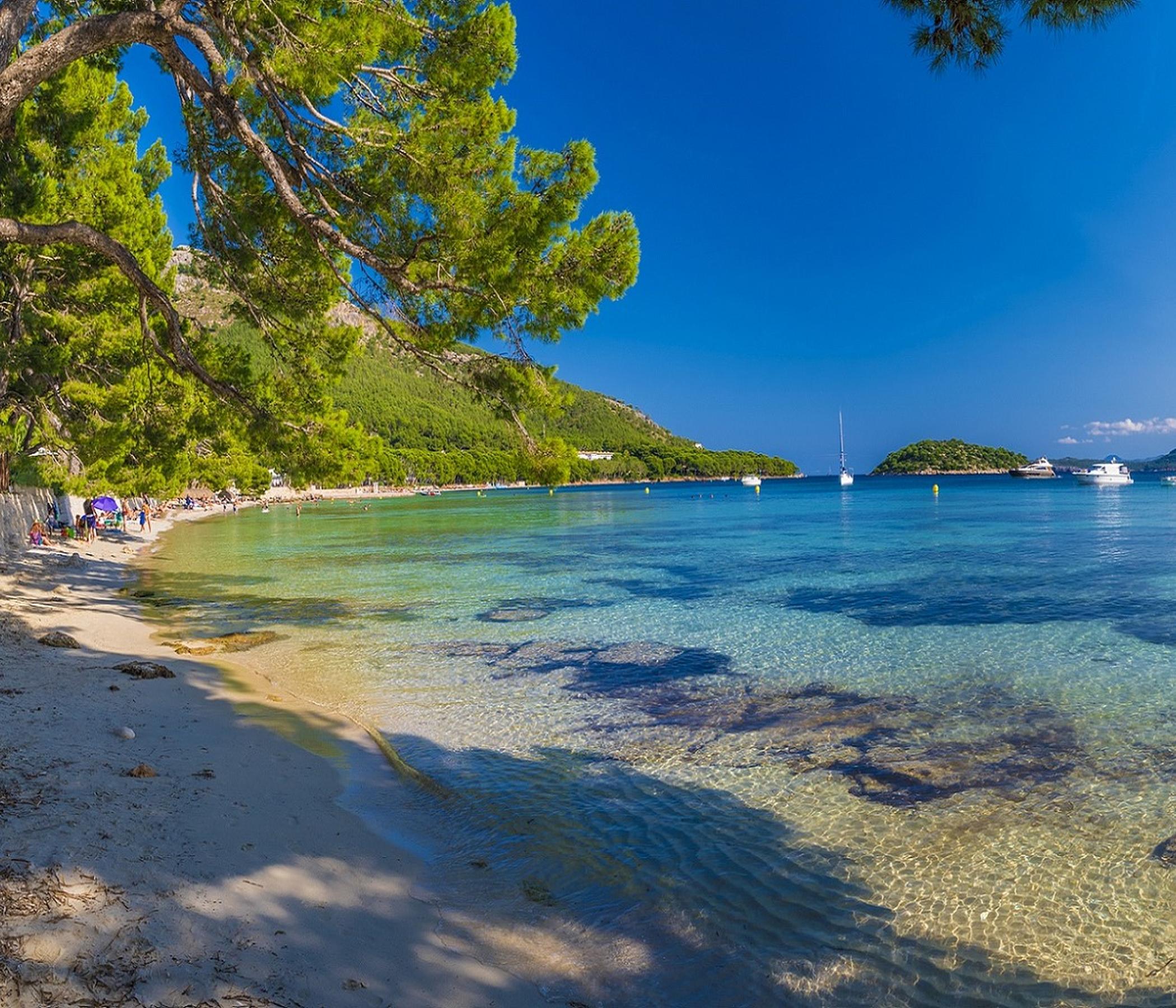 Markt Alcudia & Formentor