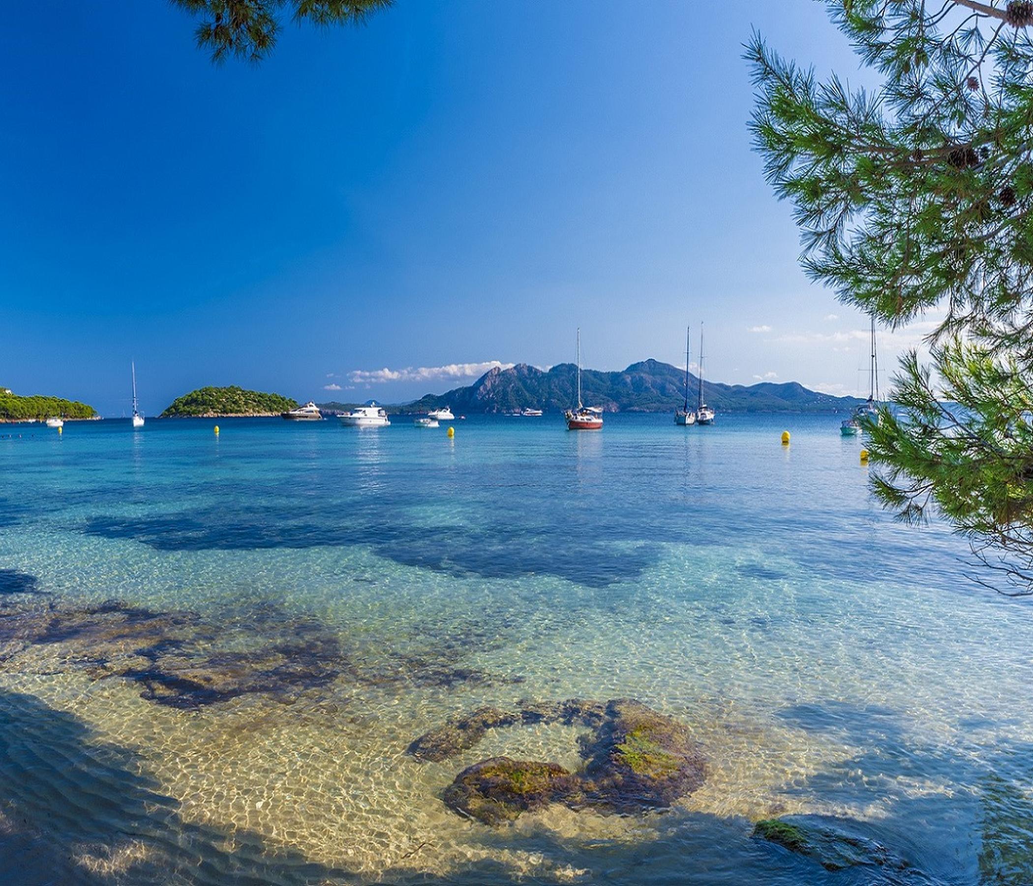 Markt Alcudia & Formentor