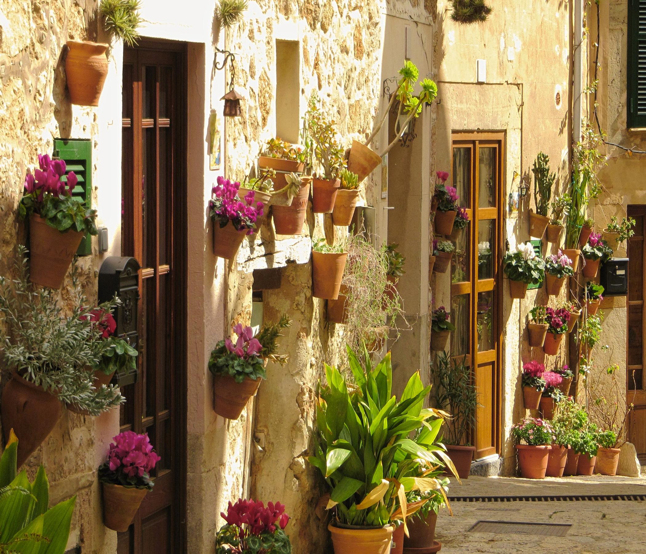 Palma und Valldemossa