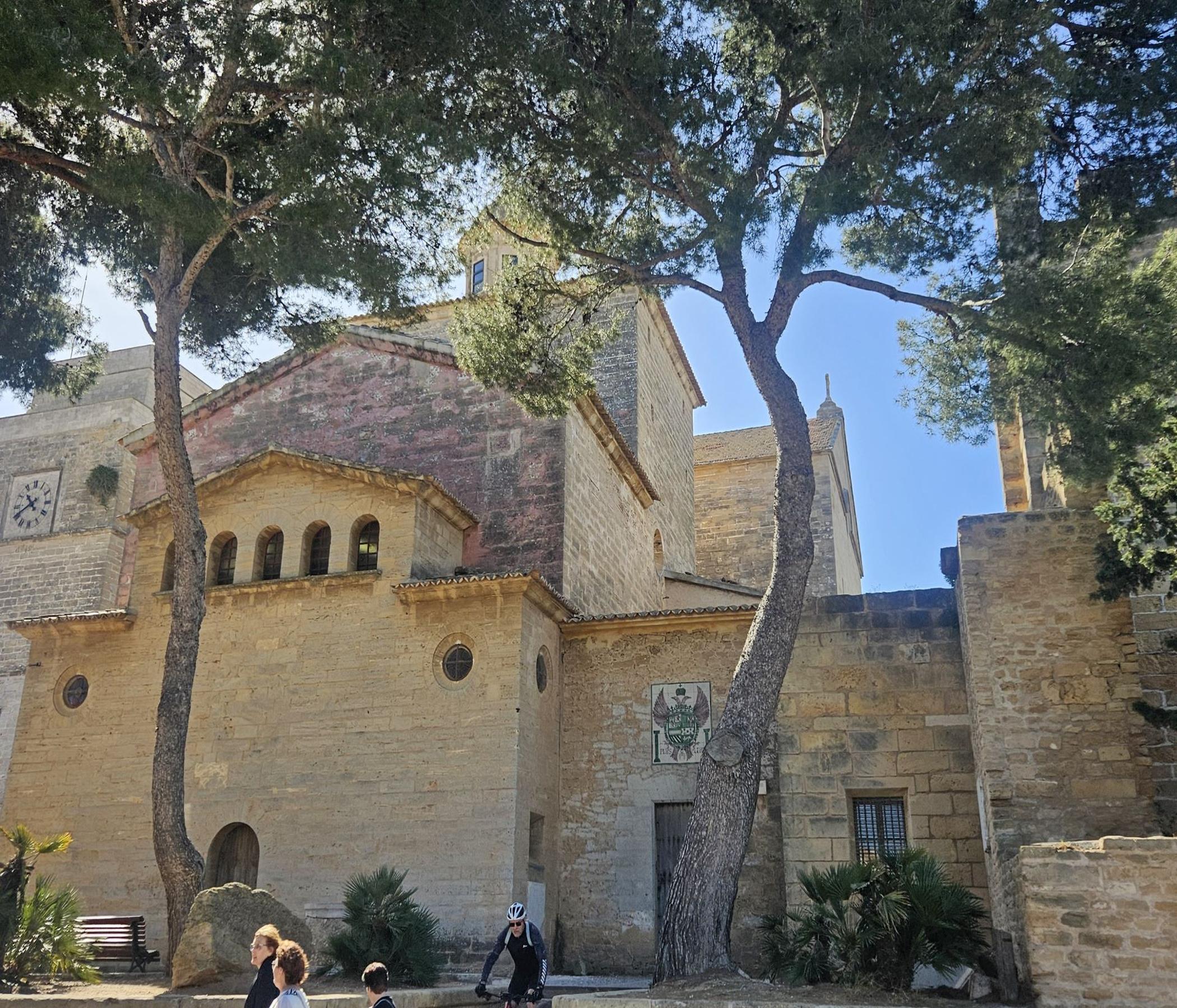 Markt Alcudia & Formentor