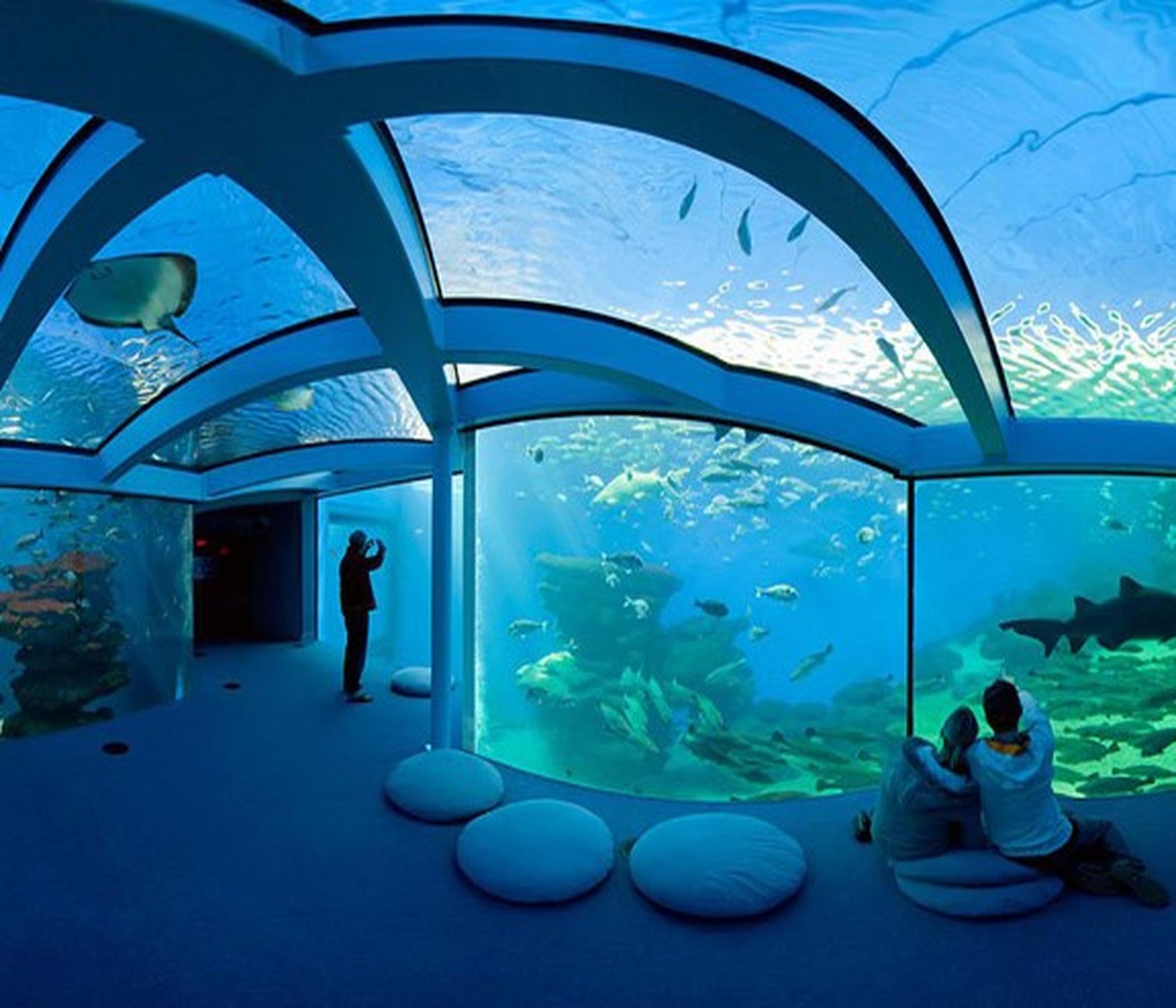 Palma Aquarium