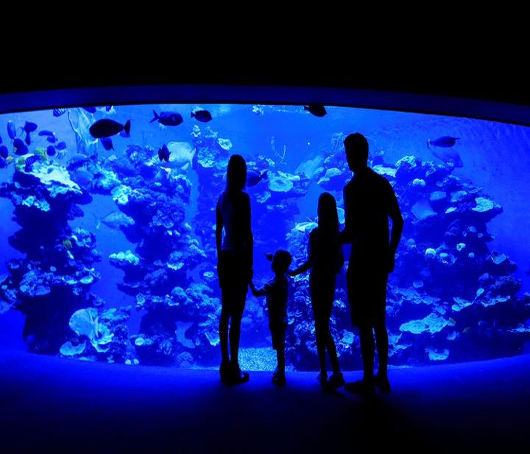 Palma Aquarium