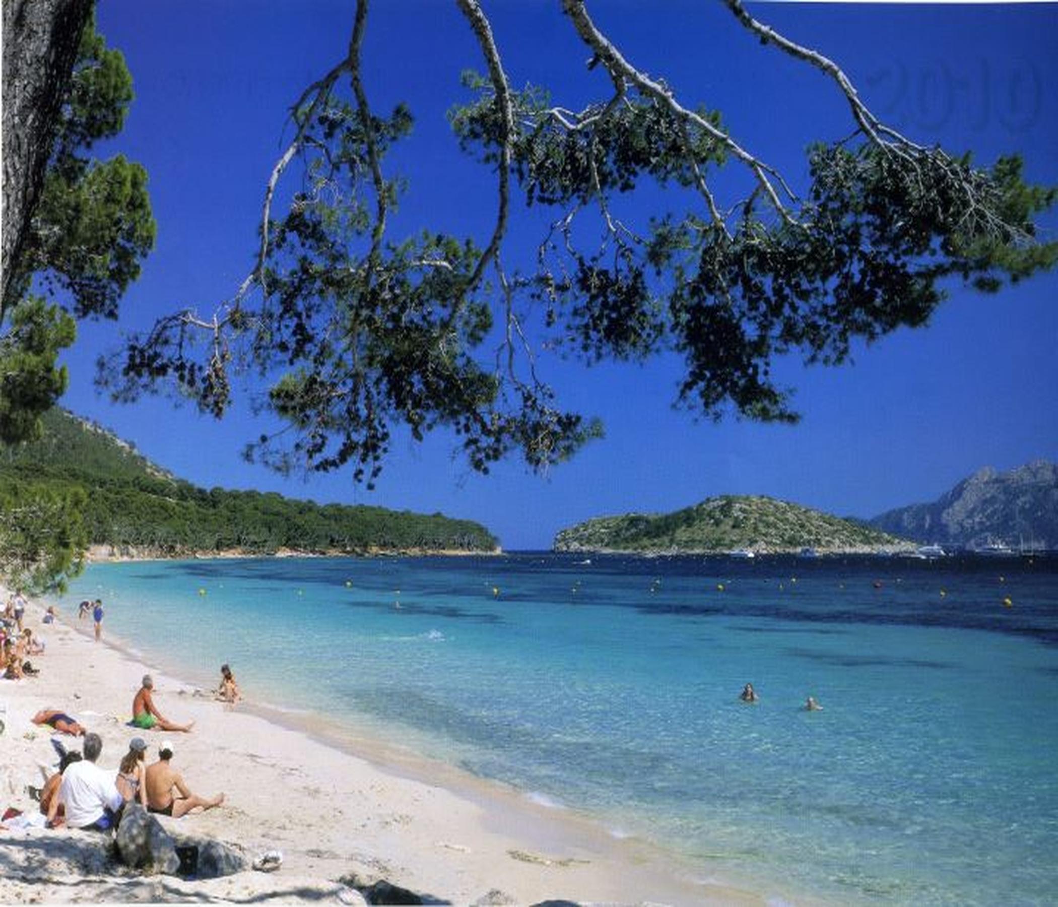 Markt Alcudia & Formentor