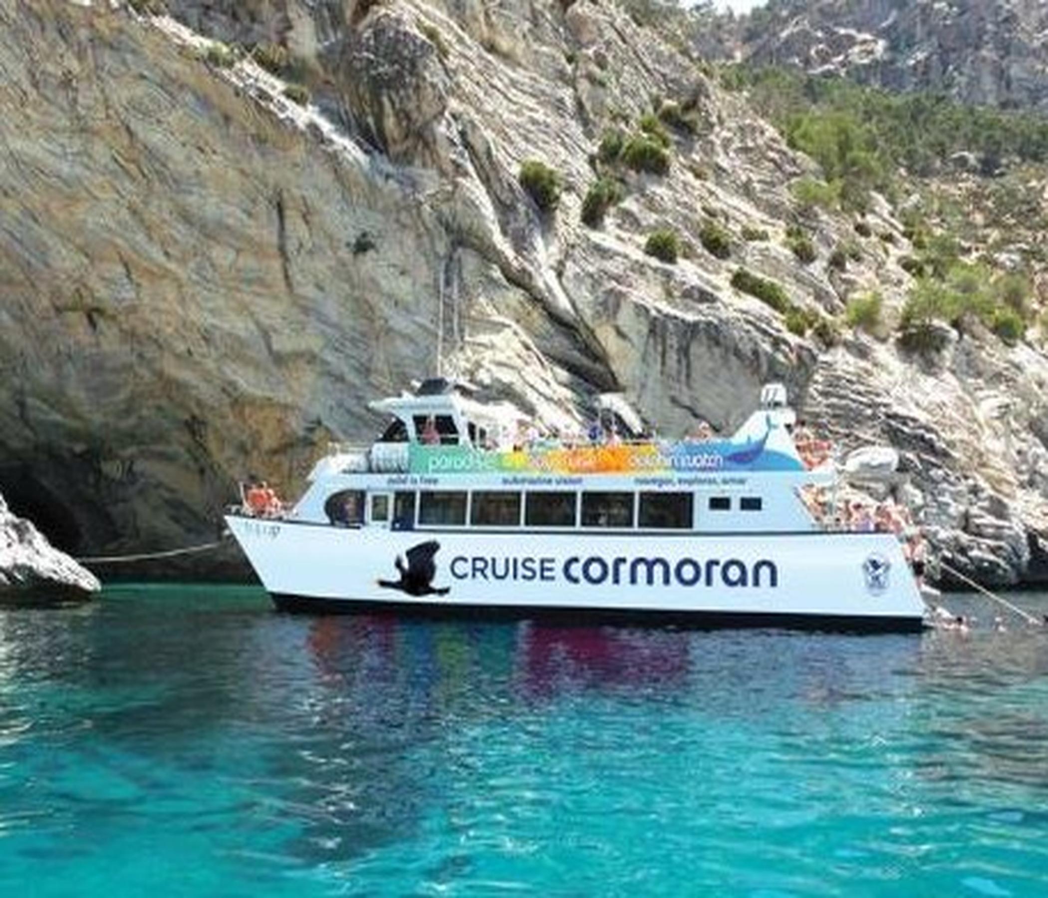 Cruceros Cormoran Dolphin Watch