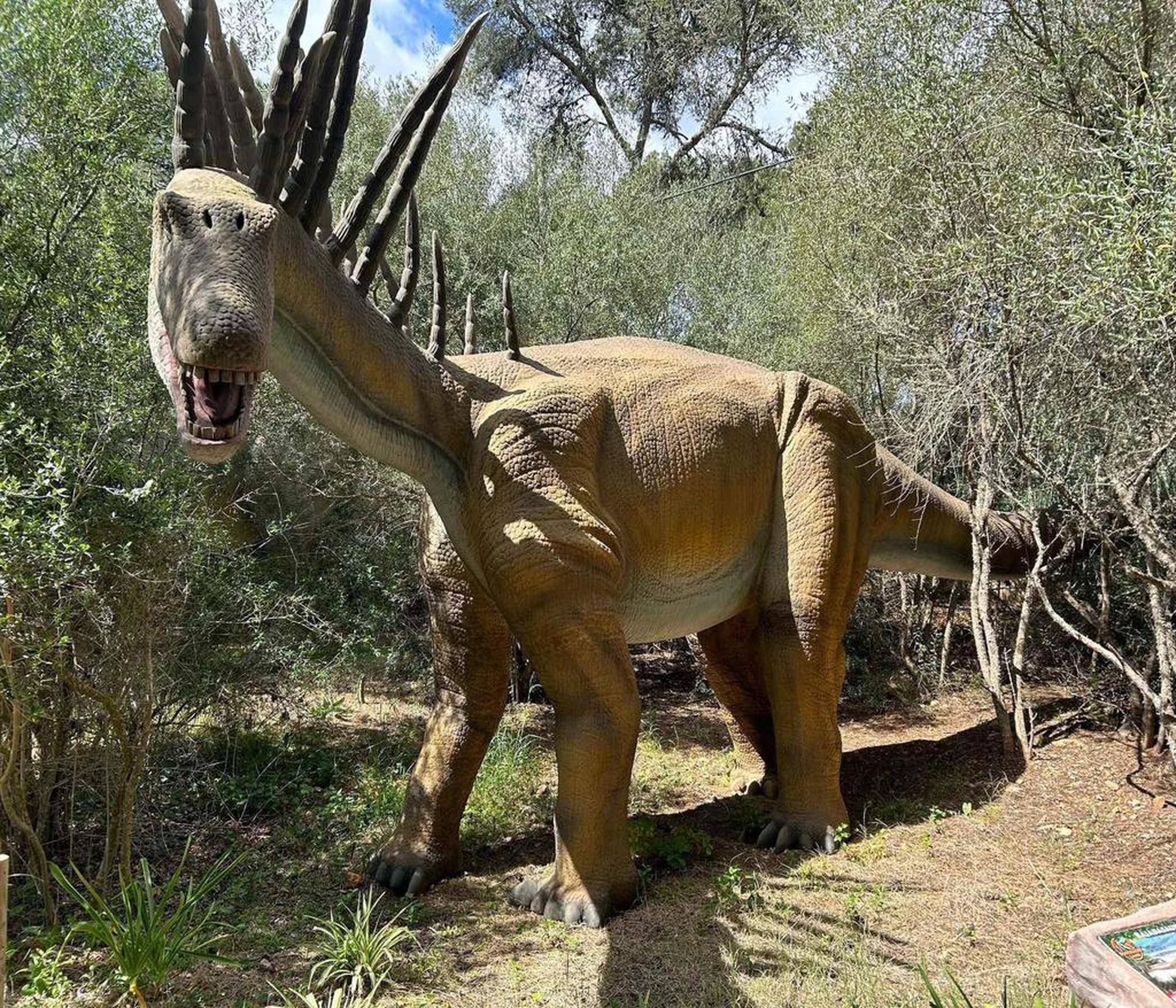 Dinos & Caves