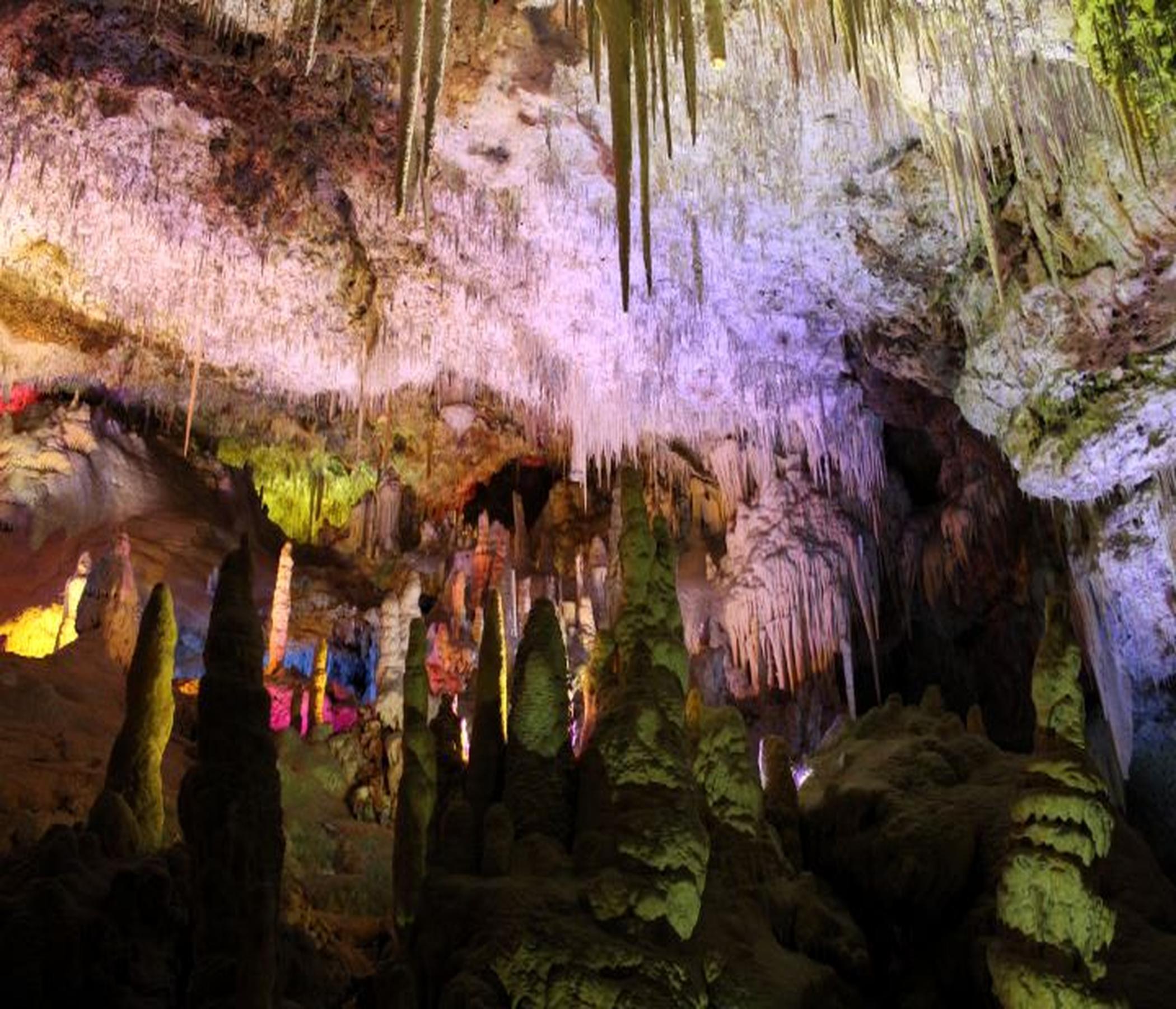 Dinos & Caves