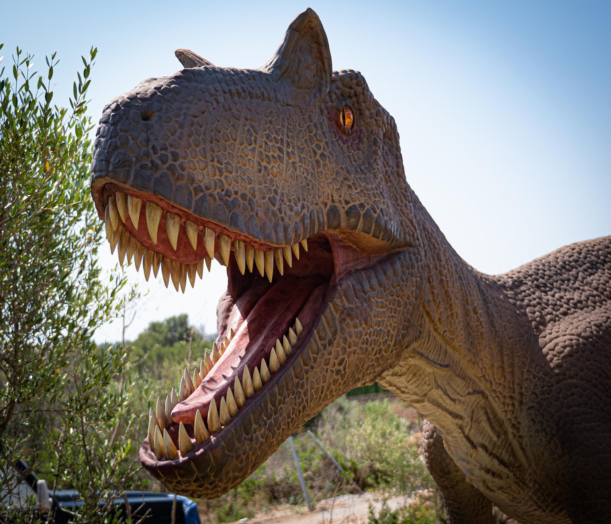 Höhlen & Dinos
