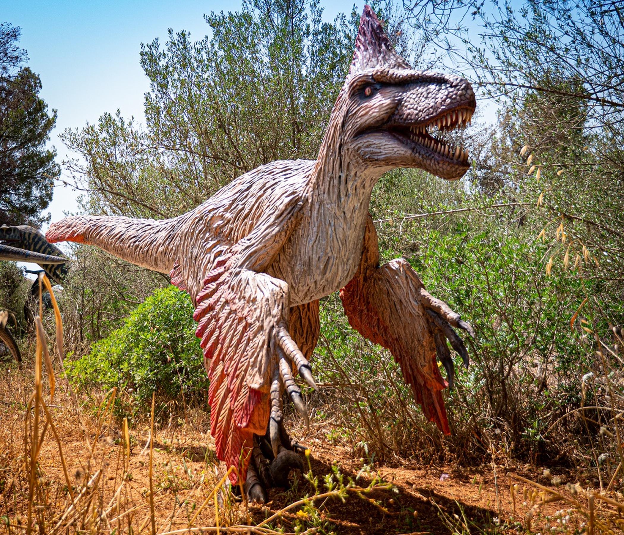 Höhlen & Dinos
