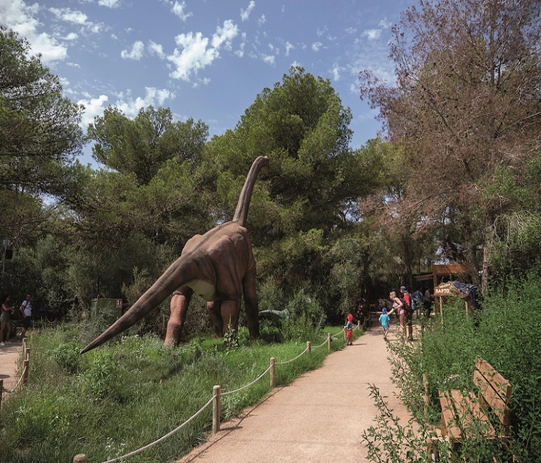 Drachenhöhlen oder Hamshöhlen, auch mit Dinoland