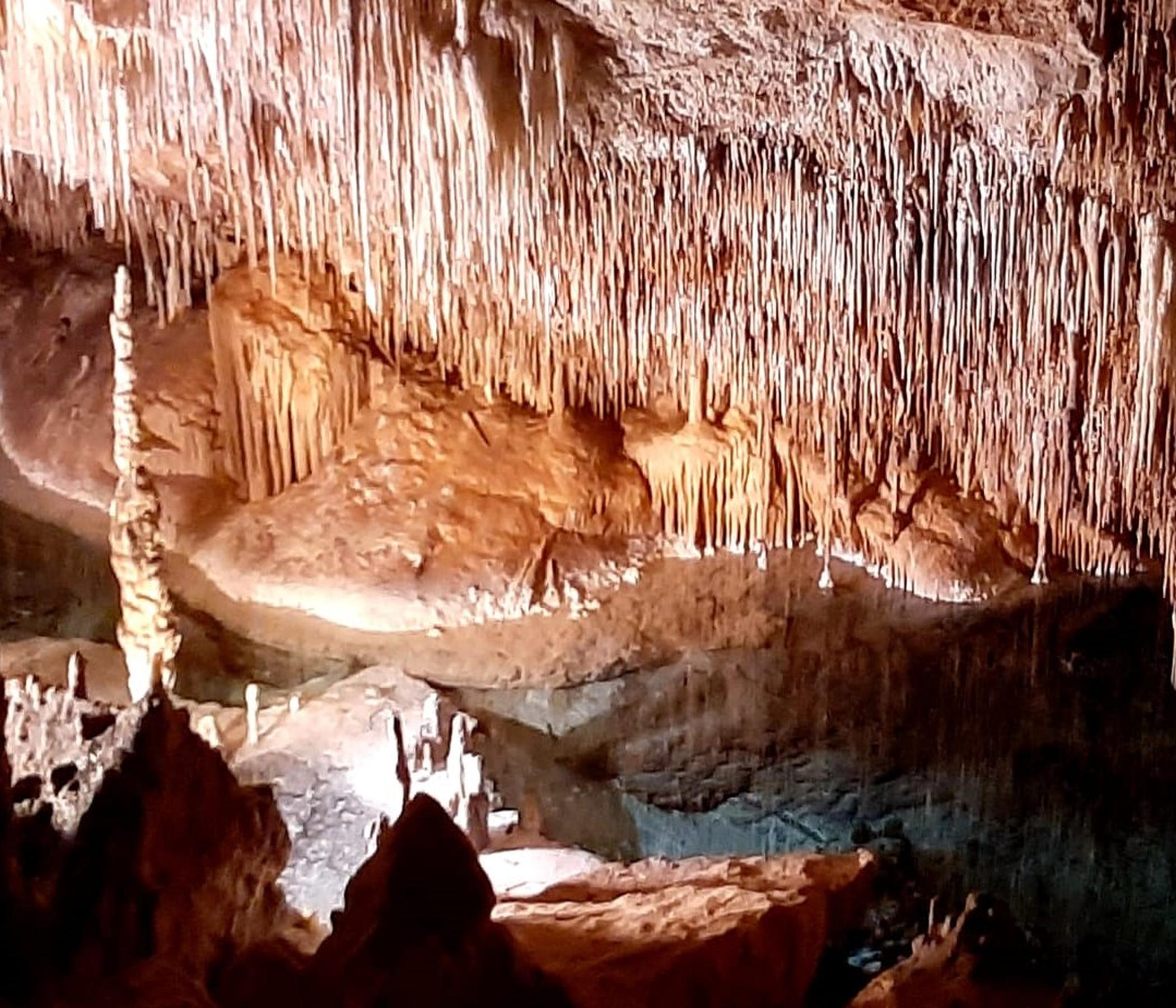 Drachenhöhlen oder Hamshöhlen auch mit Dinoland