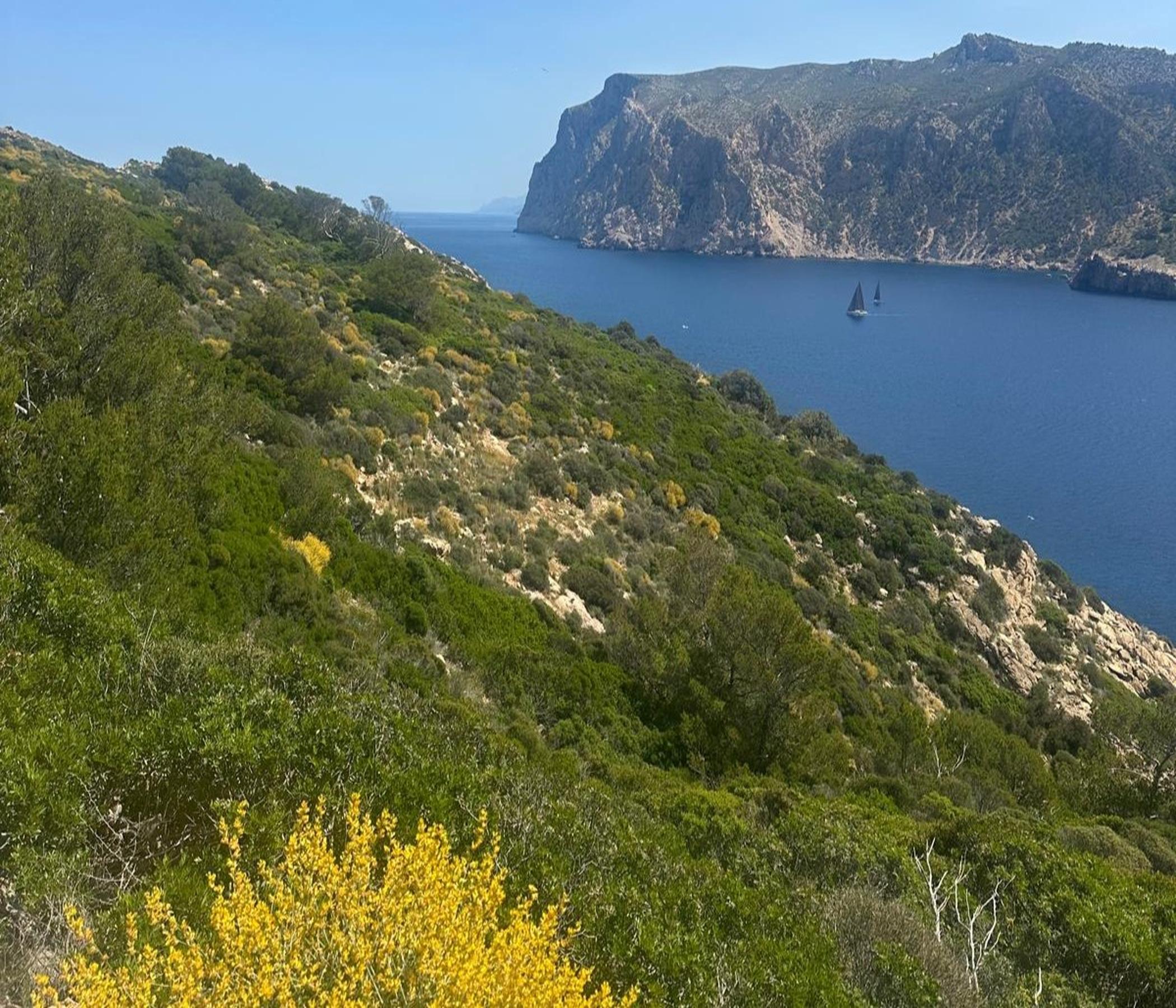 Bootstour - Isla Dragonera