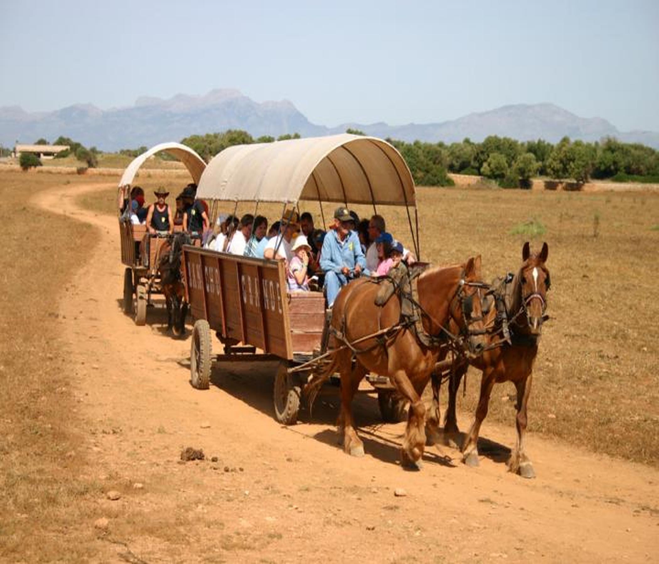 Rancho Grande mit BBQ