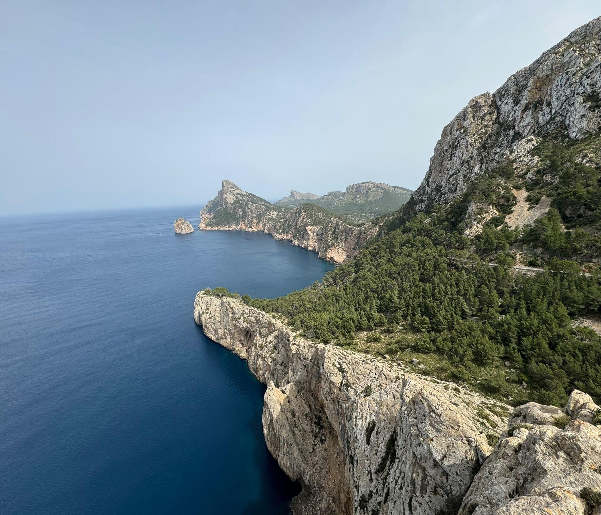 Markt Alcudia & Formentor