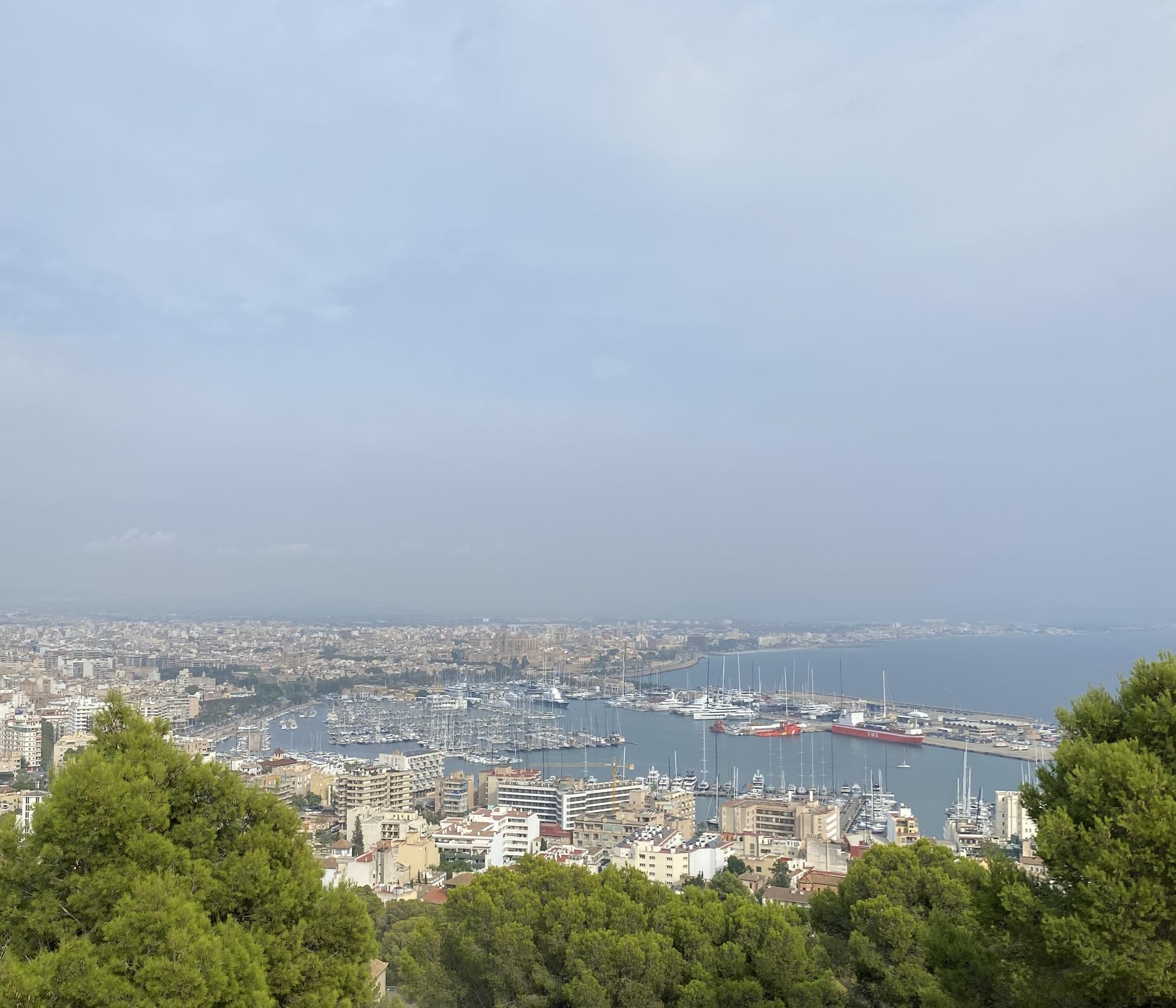 Palma City Sightseeing Hop-On / Hop-Off Bus