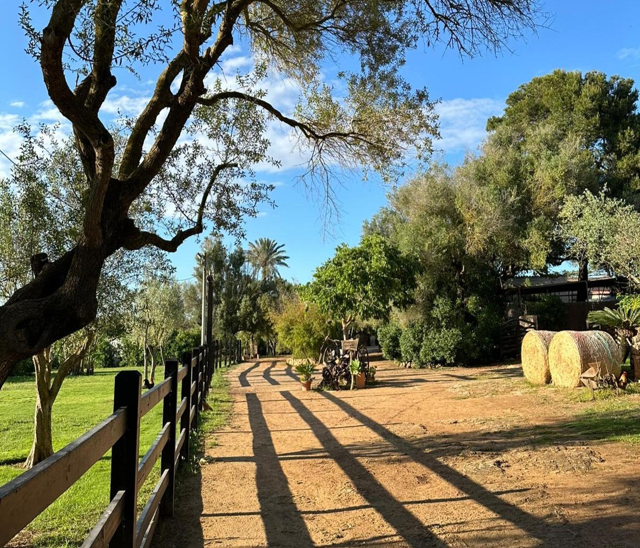 Rancho Grande - Pferderanch mit BBQ