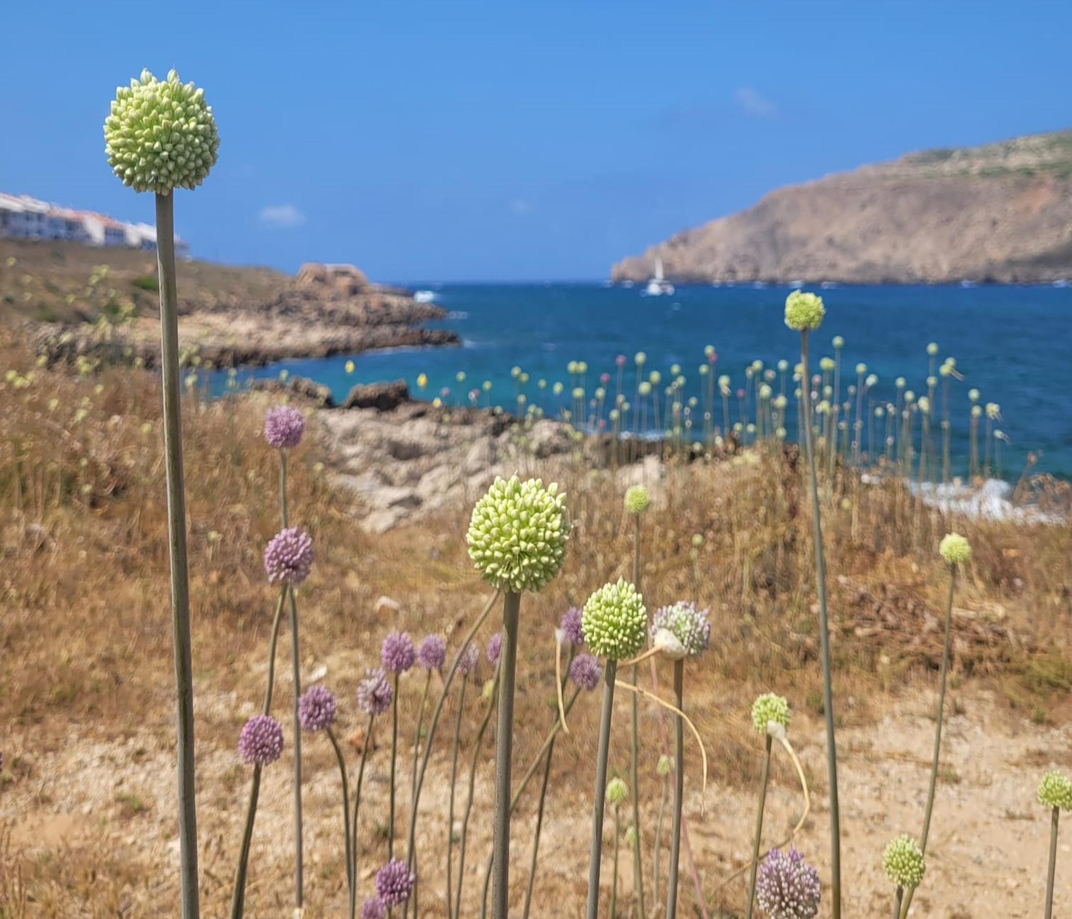 Menorca an einem Tag