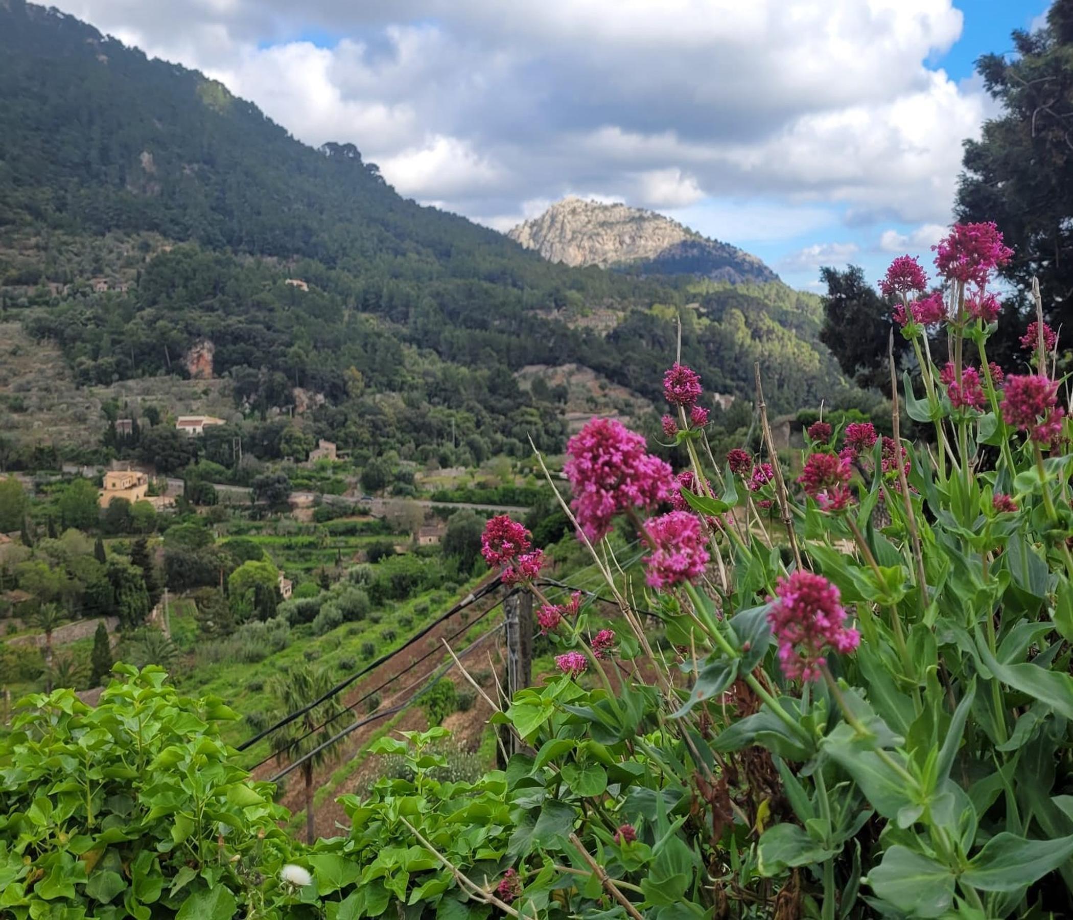Mallorca Highlights - alltours Ausflug exclusiv