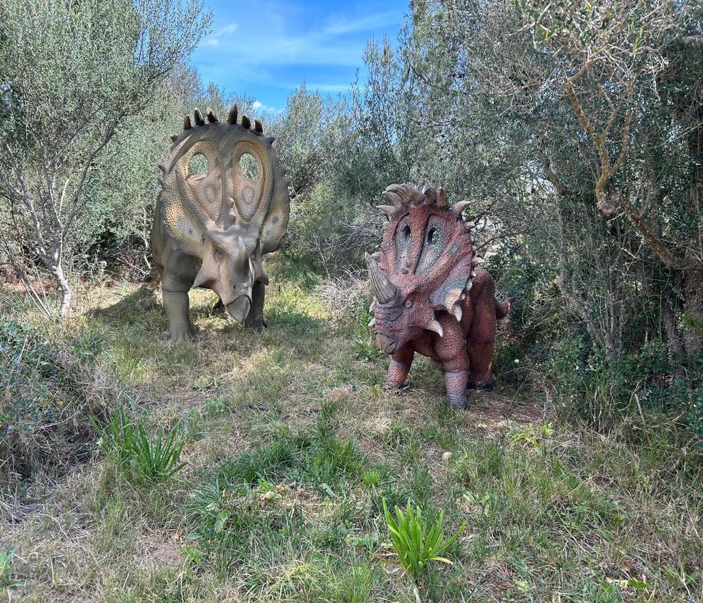 Drachenhöhlen oder Hamshöhlen, auch mit Dinoland