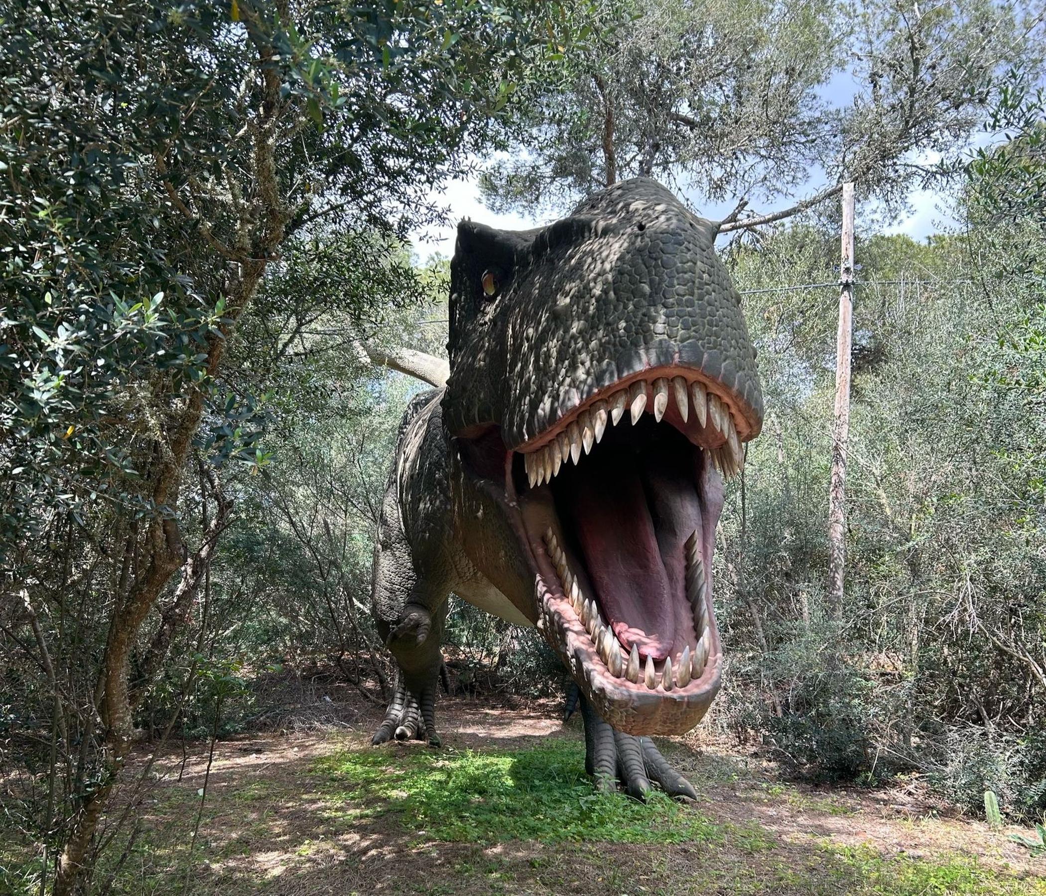 Drachenhöhlen oder Hamshöhlen auch mit Dinoland