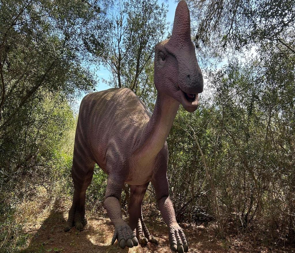 Drachenhöhlen oder Hamshöhlen, auch mit Dinoland