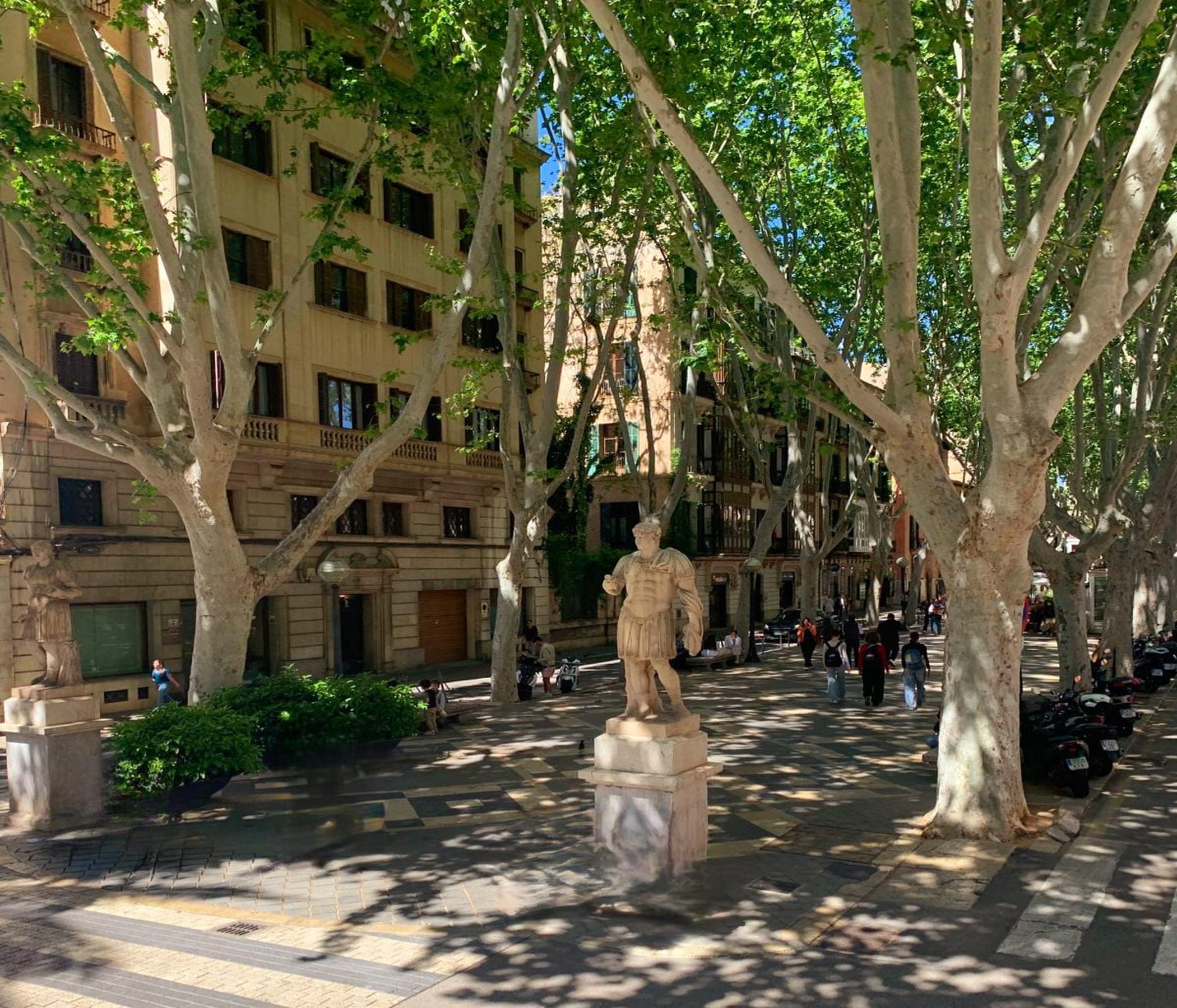 Palma Ausflüge