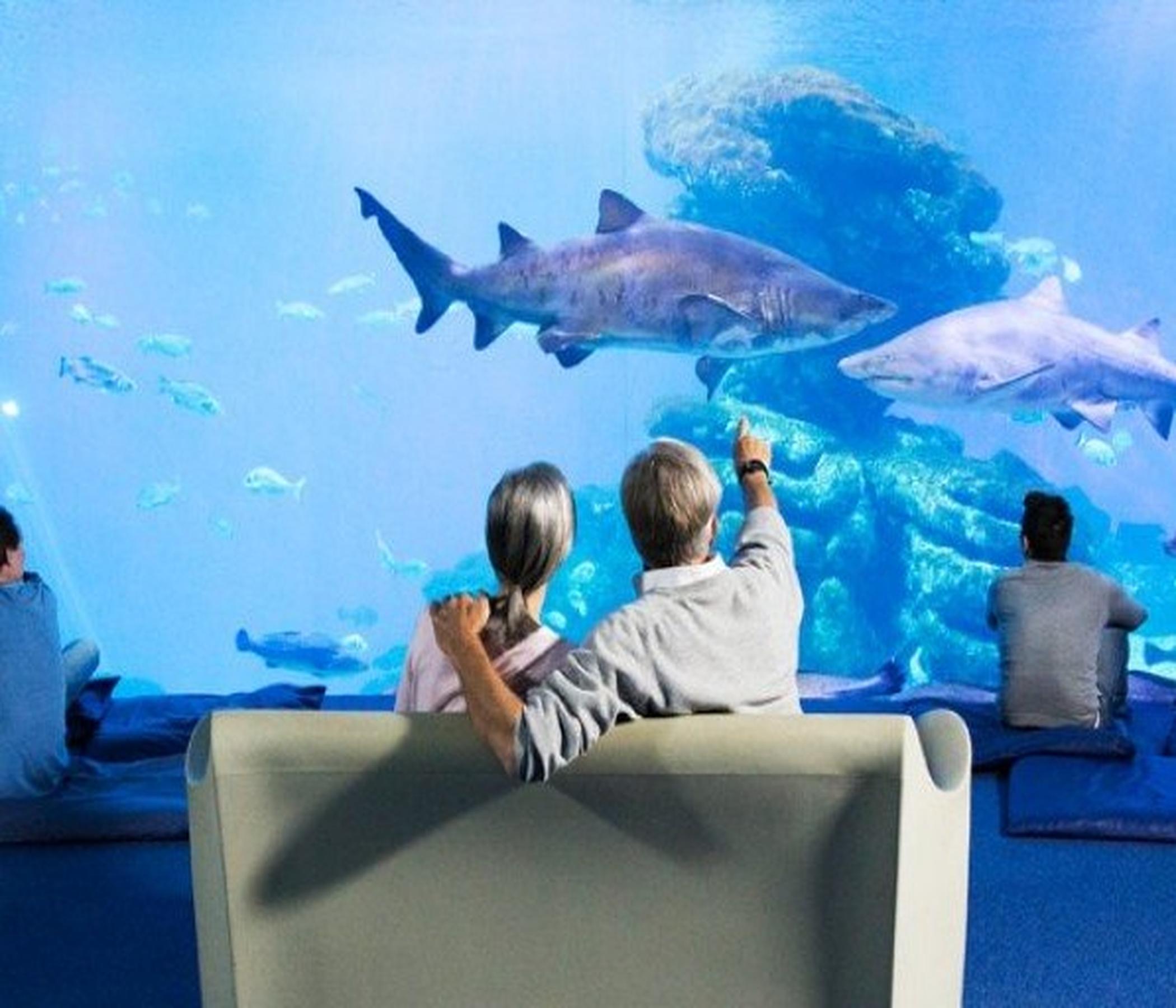 Palma Aquarium