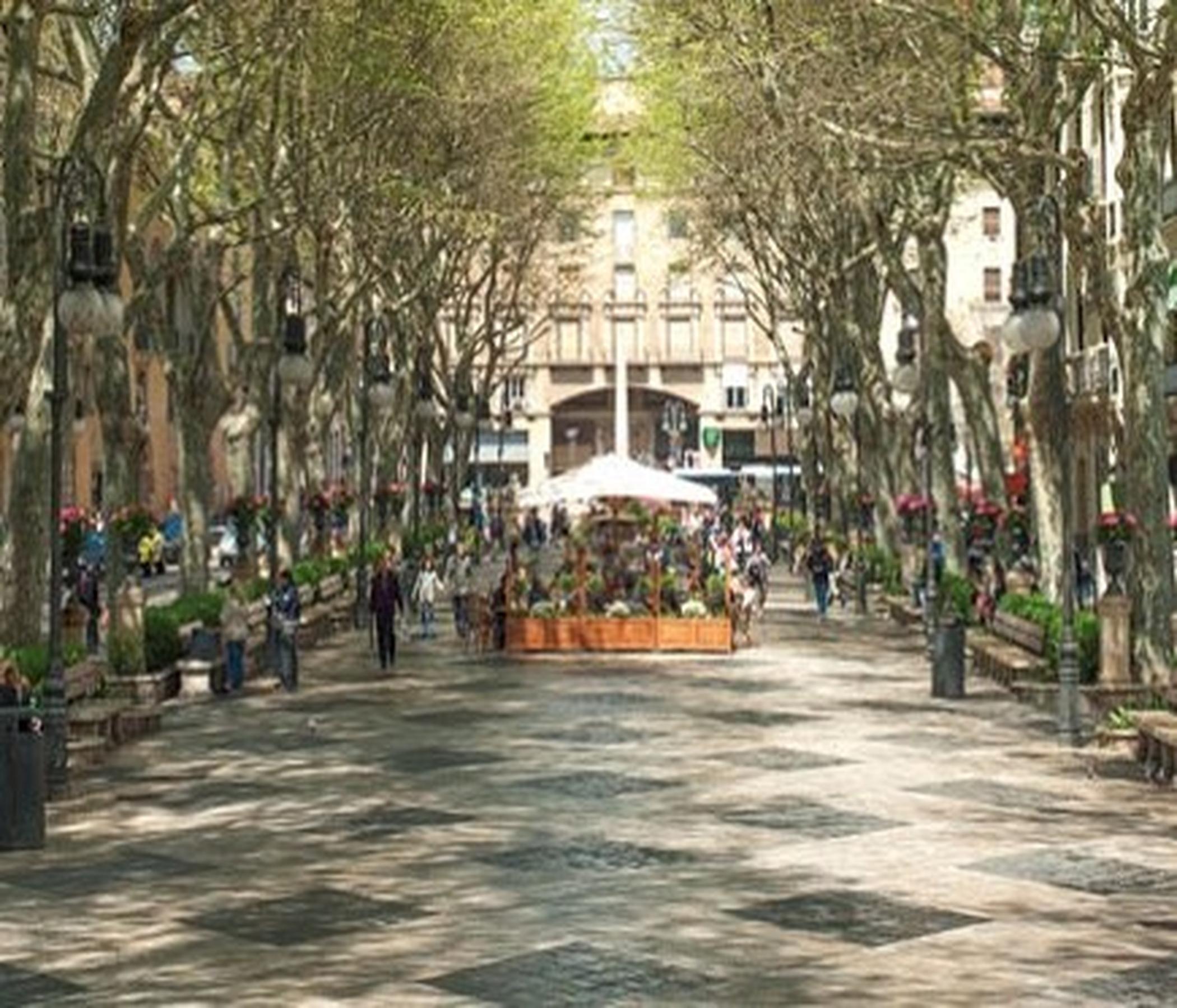 Palma - die Hauptstadt