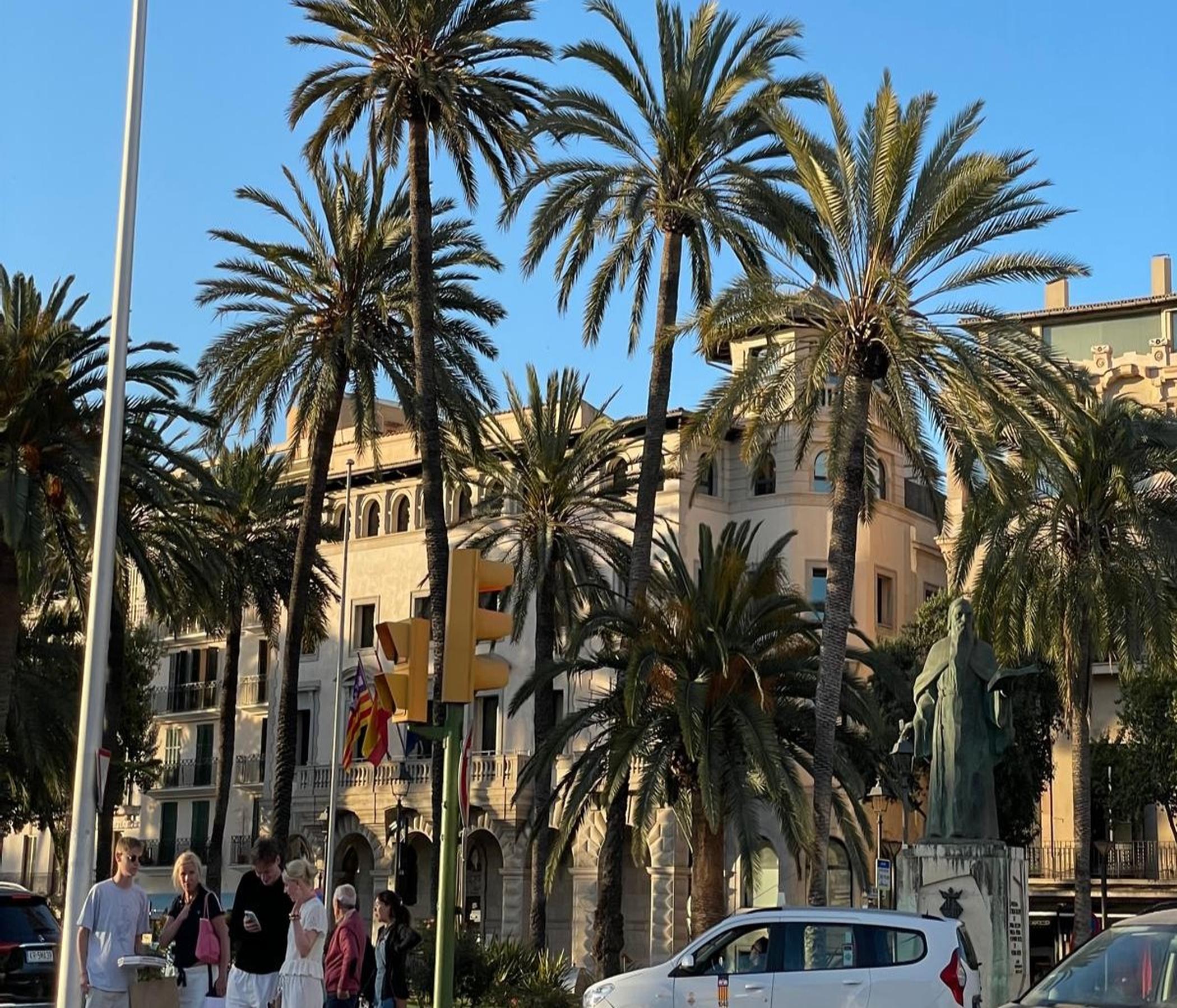 Palma City Xperiences