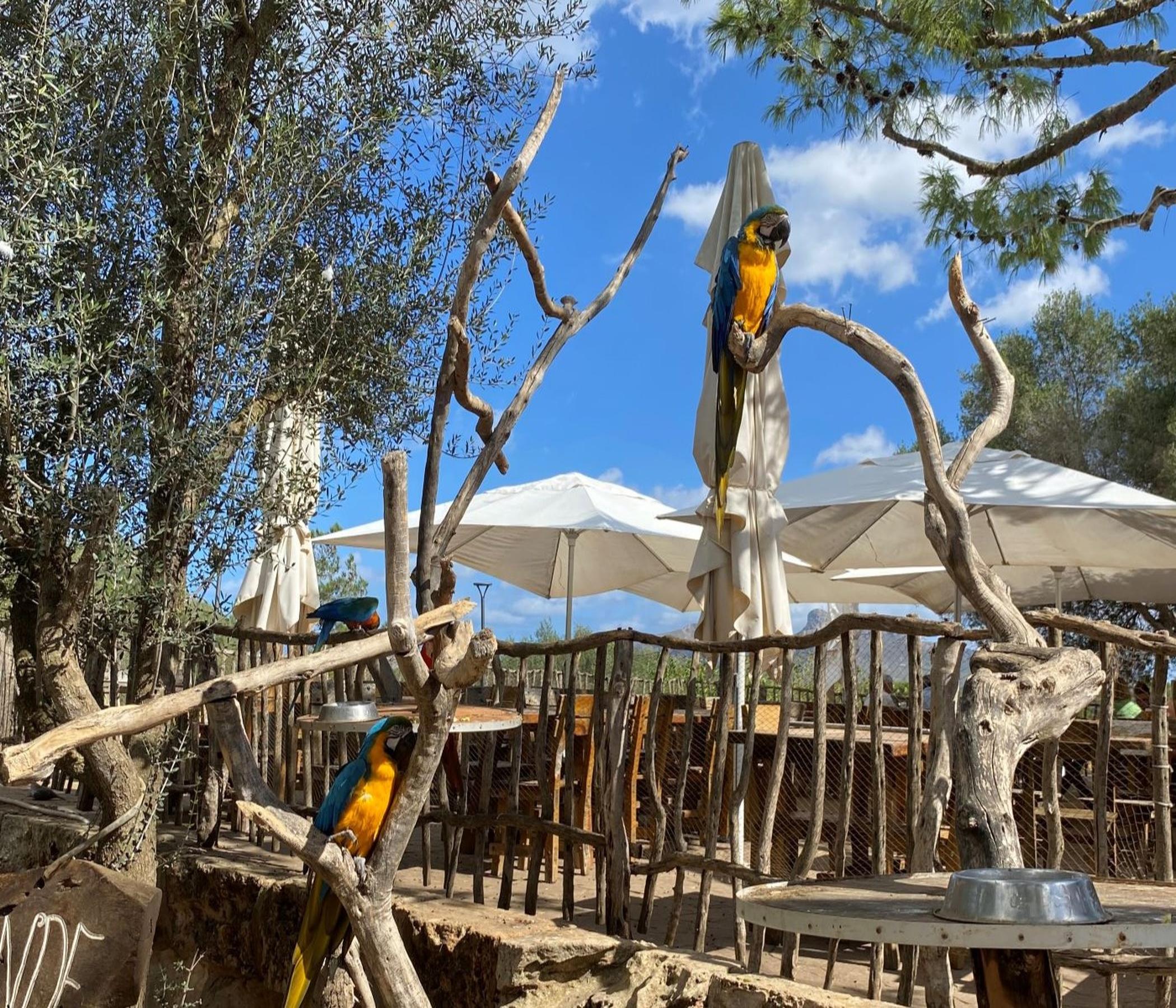 Rancho Grande  & BBQ