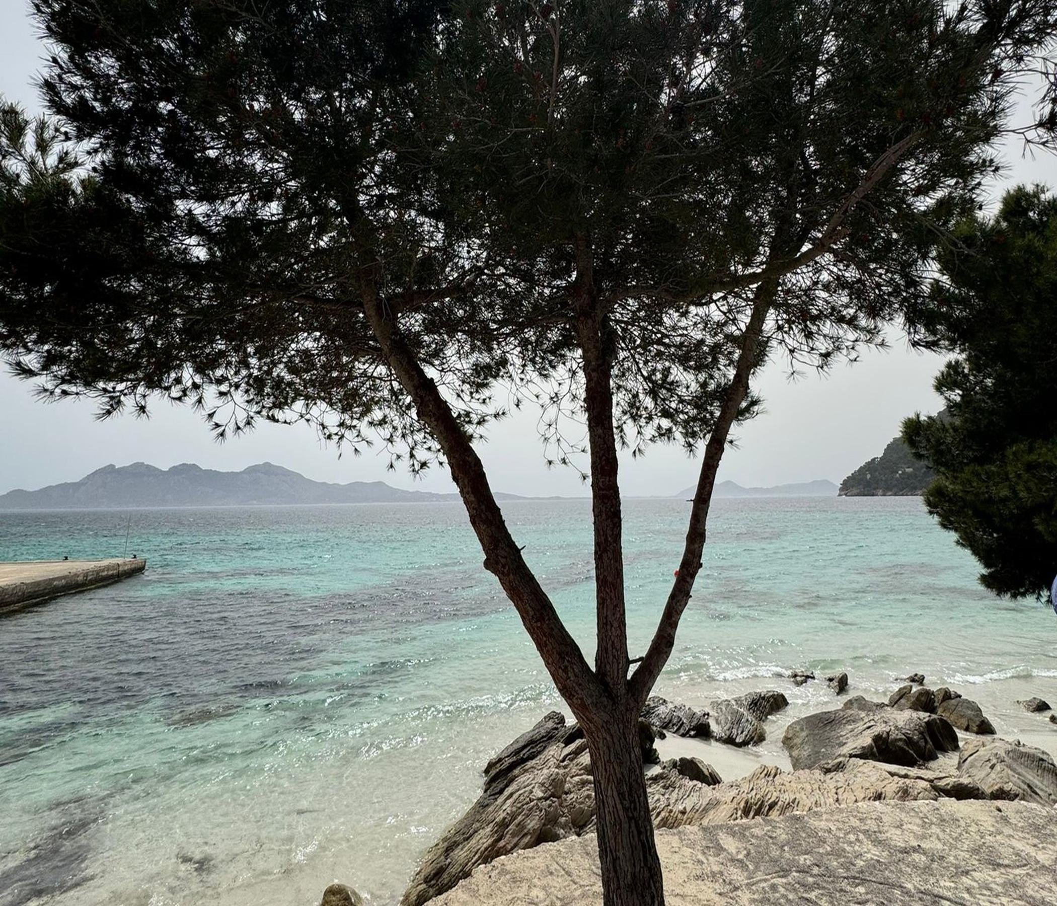 Markt Alcudia & Formentor