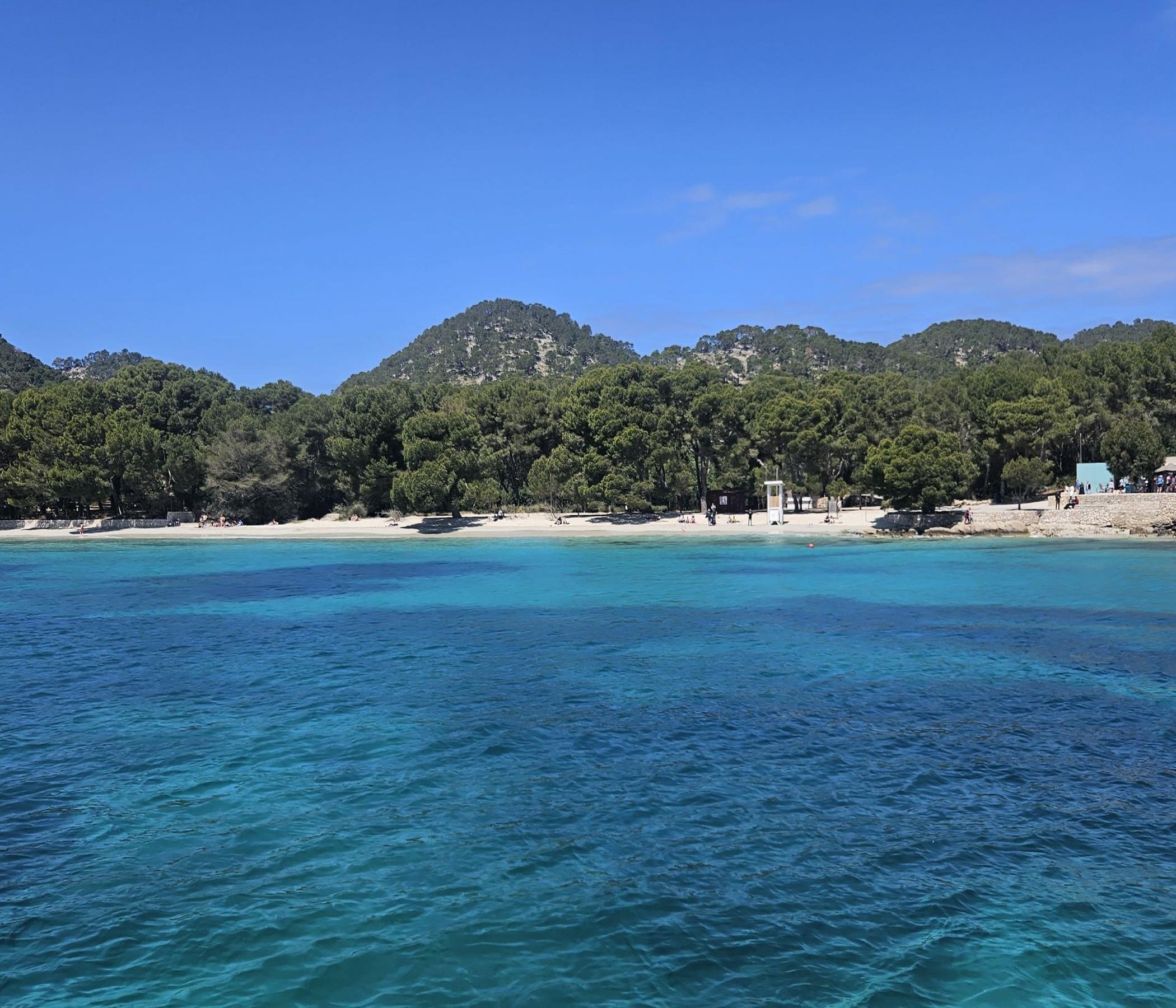 Markt Alcudia & Formentor