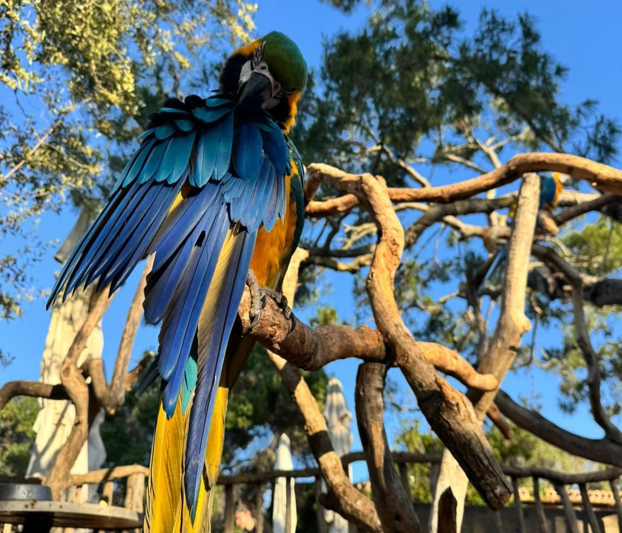 Rancho Grande - Ausritt