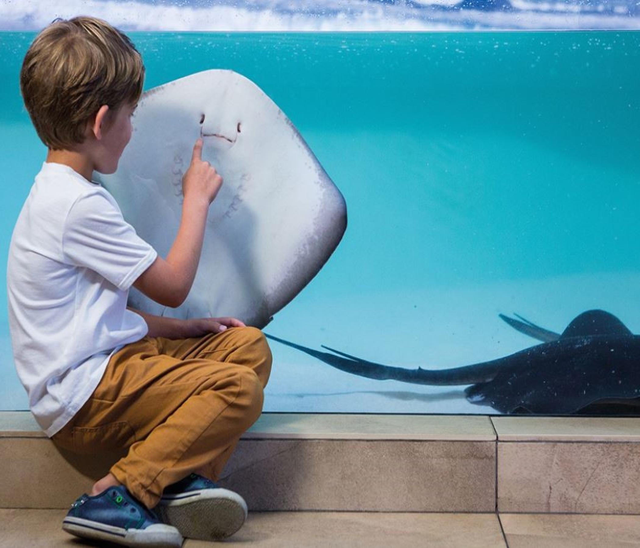 Eintrittskarte Palma Aquarium