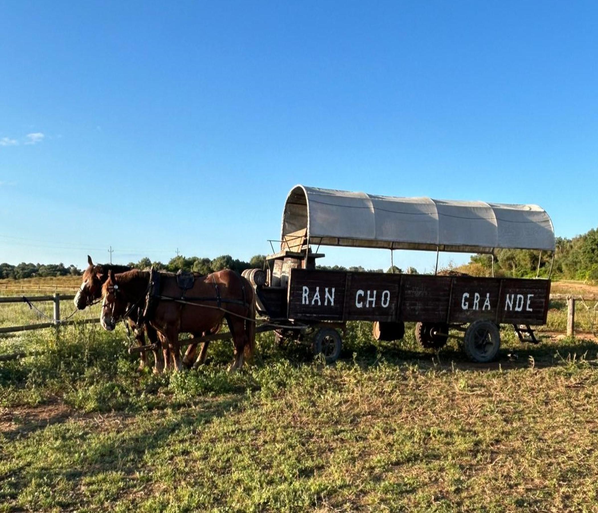Rancho Grande - Pferderanch mit BBQ