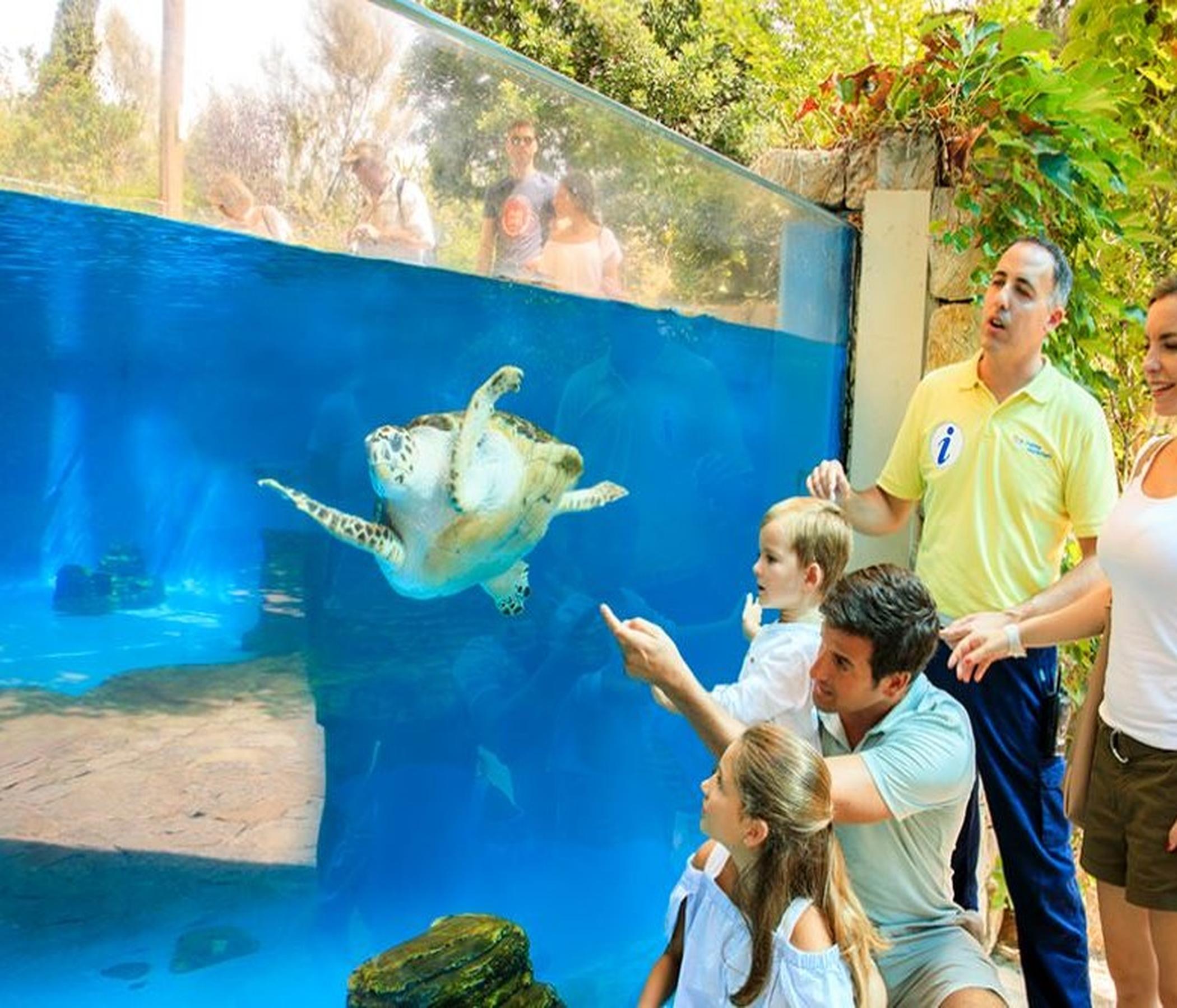 Eintrittskarte Palma Aquarium