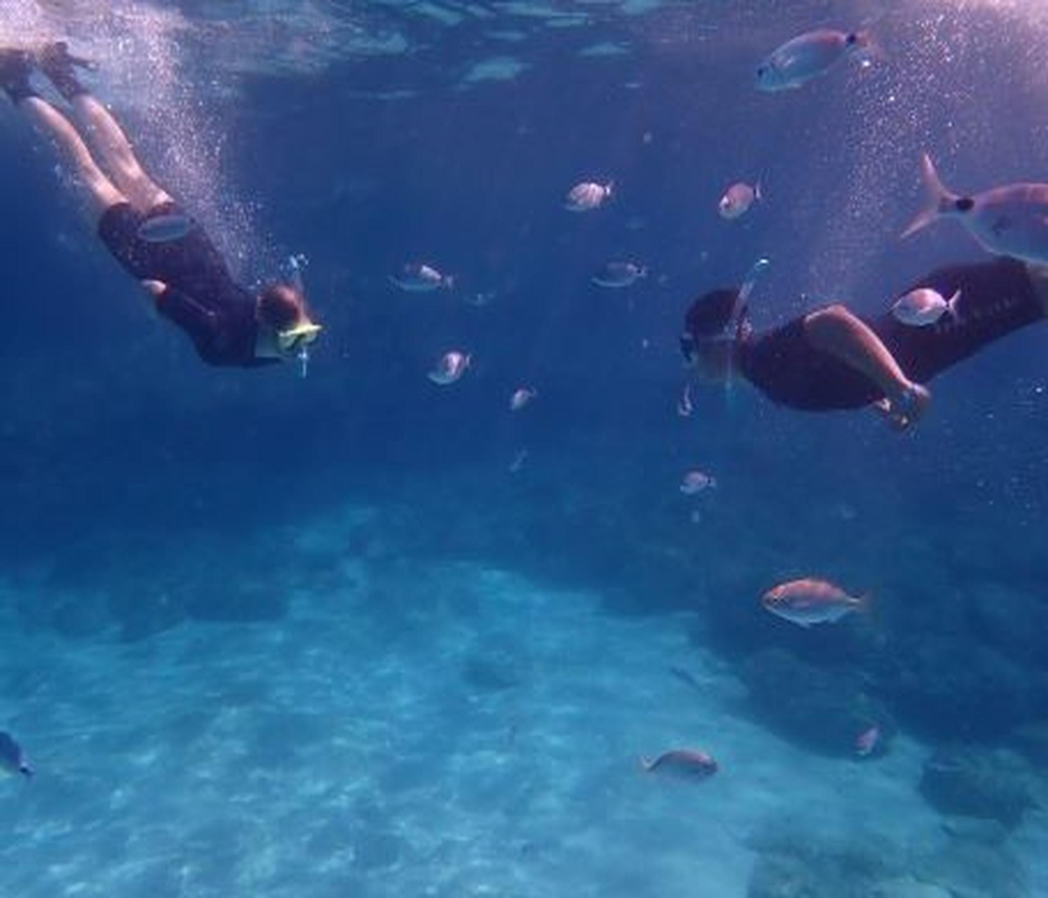 Schnorcheln - Diving and Adventure