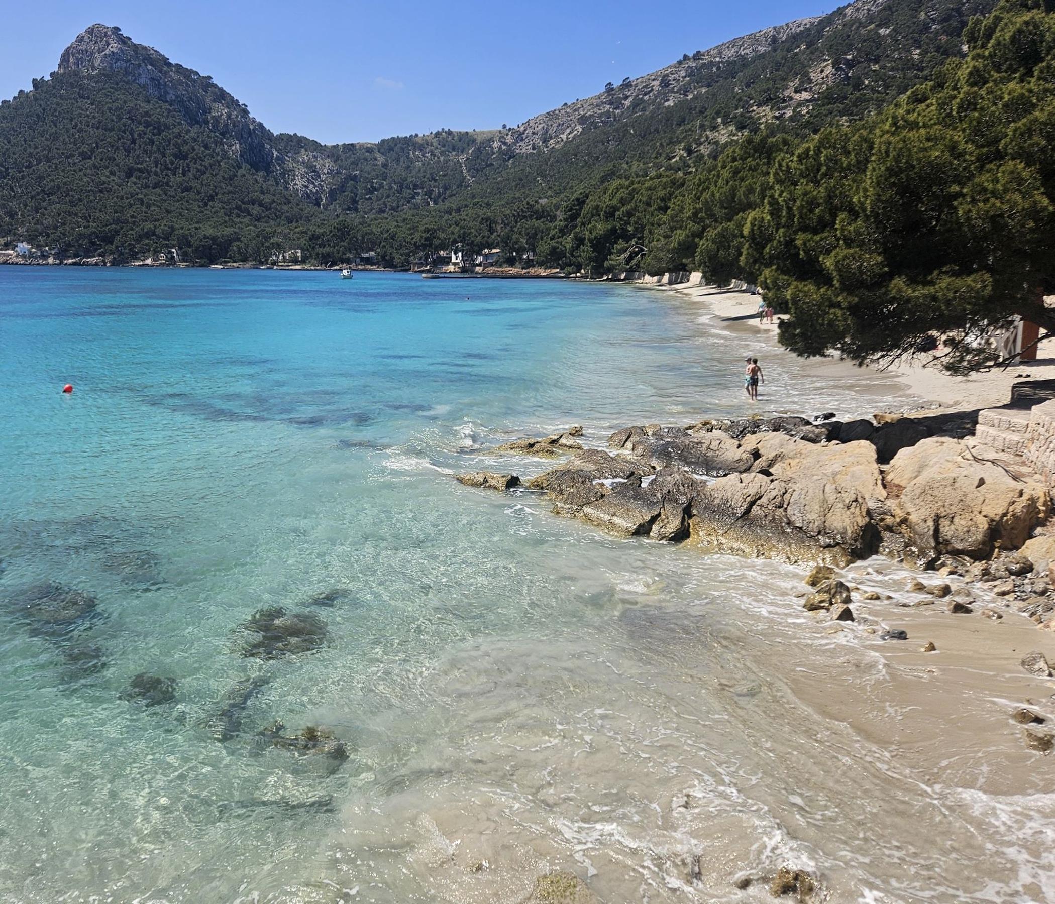Markt Alcudia & Formentor