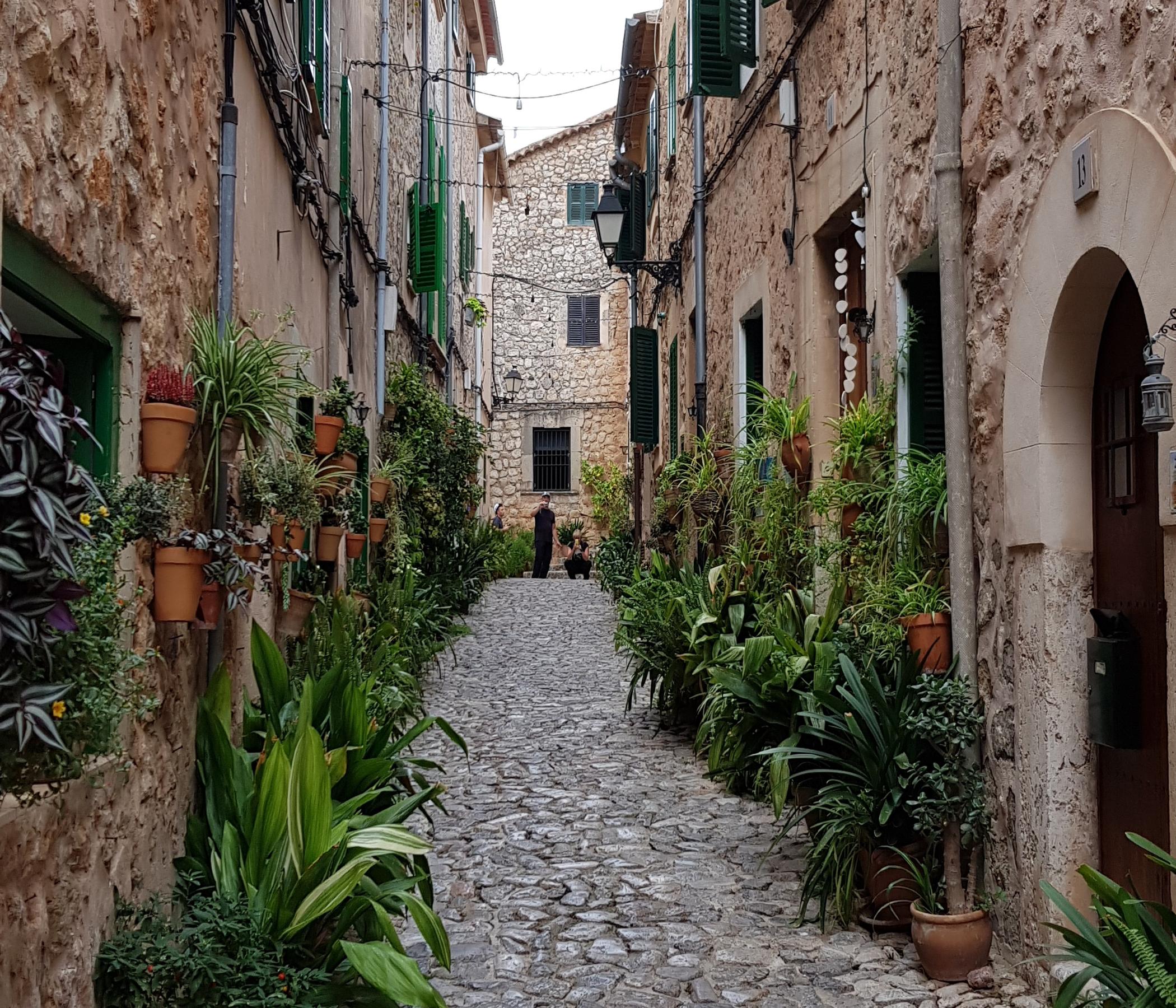 Valldemossa + Soller Xperience