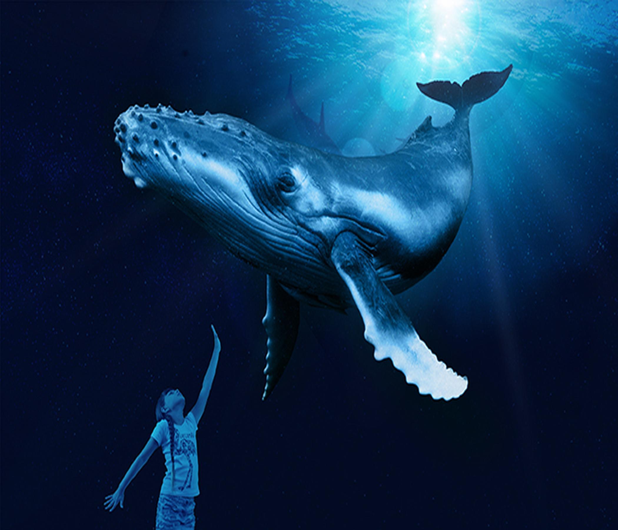 Palma Aquarium