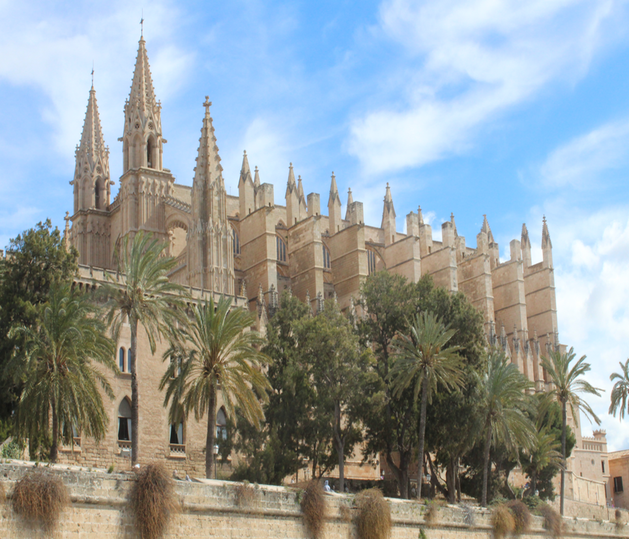 Tickets - Kathedrale "La Seu" in Palma