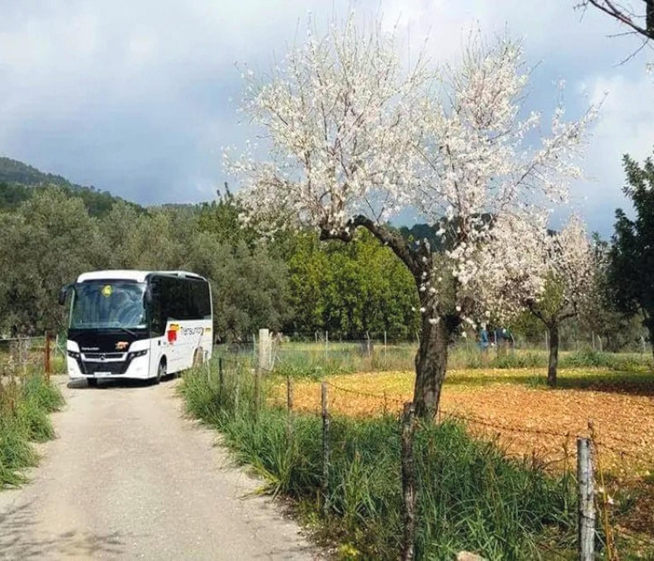 Voyager Minibus
