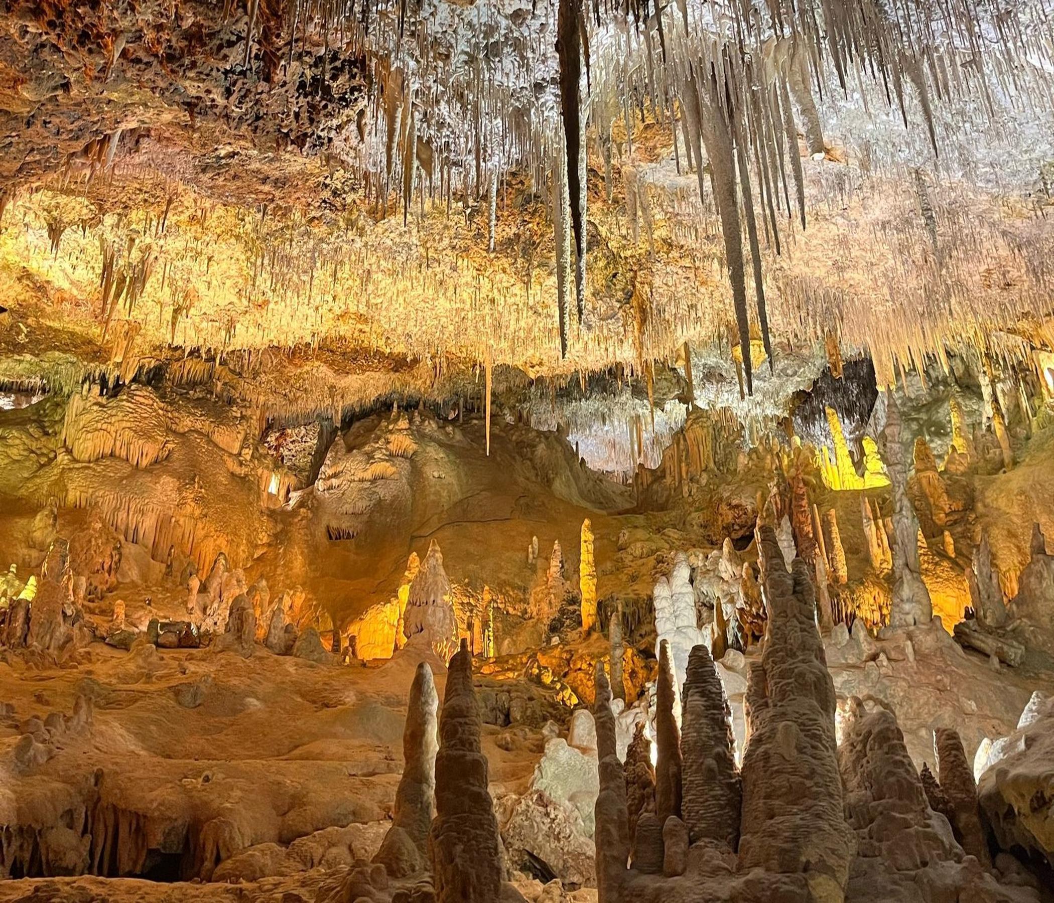 Mallorca Highlights - alltours Ausflug exclusiv
