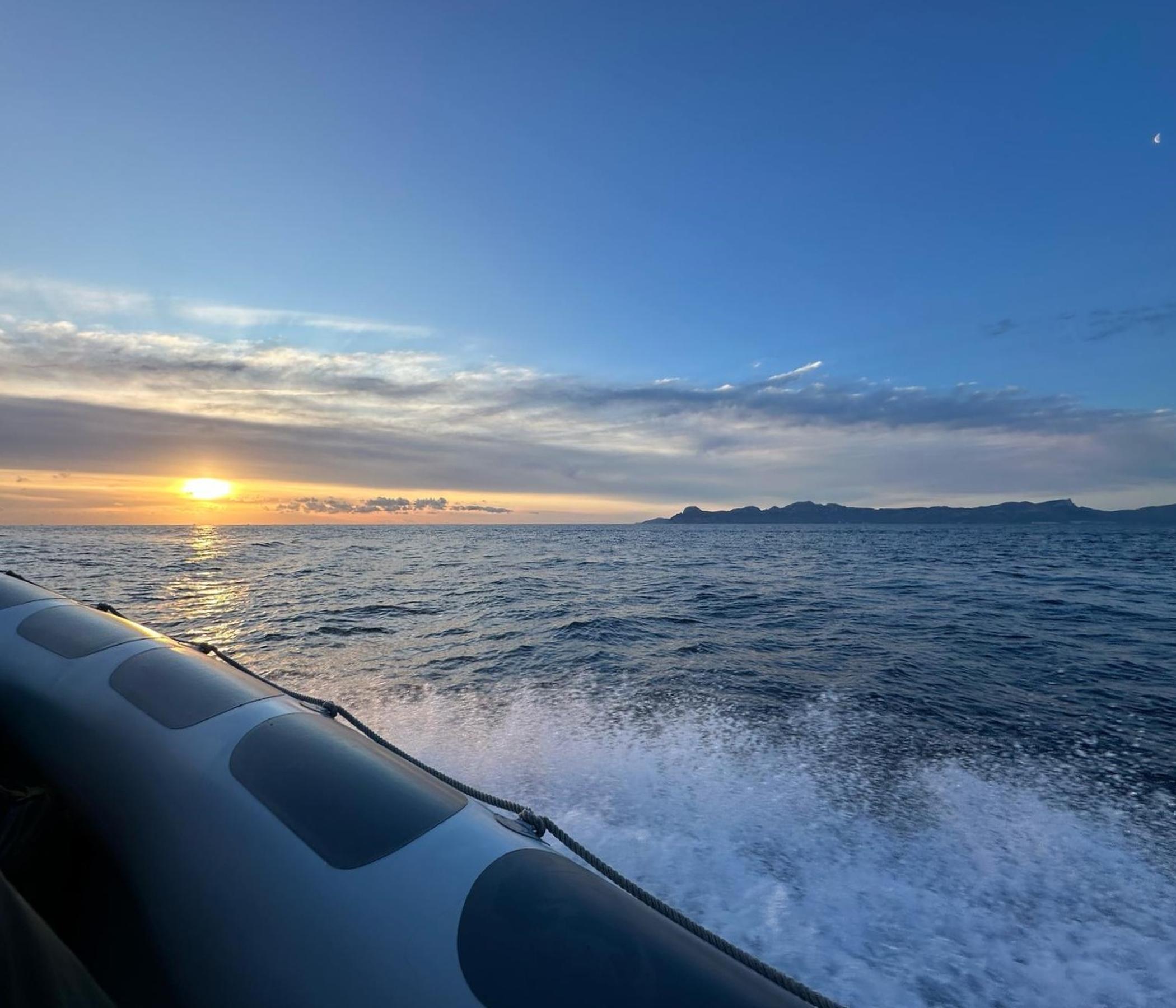 Alcudia Sea Explorer Delfine - Bootsfahrt