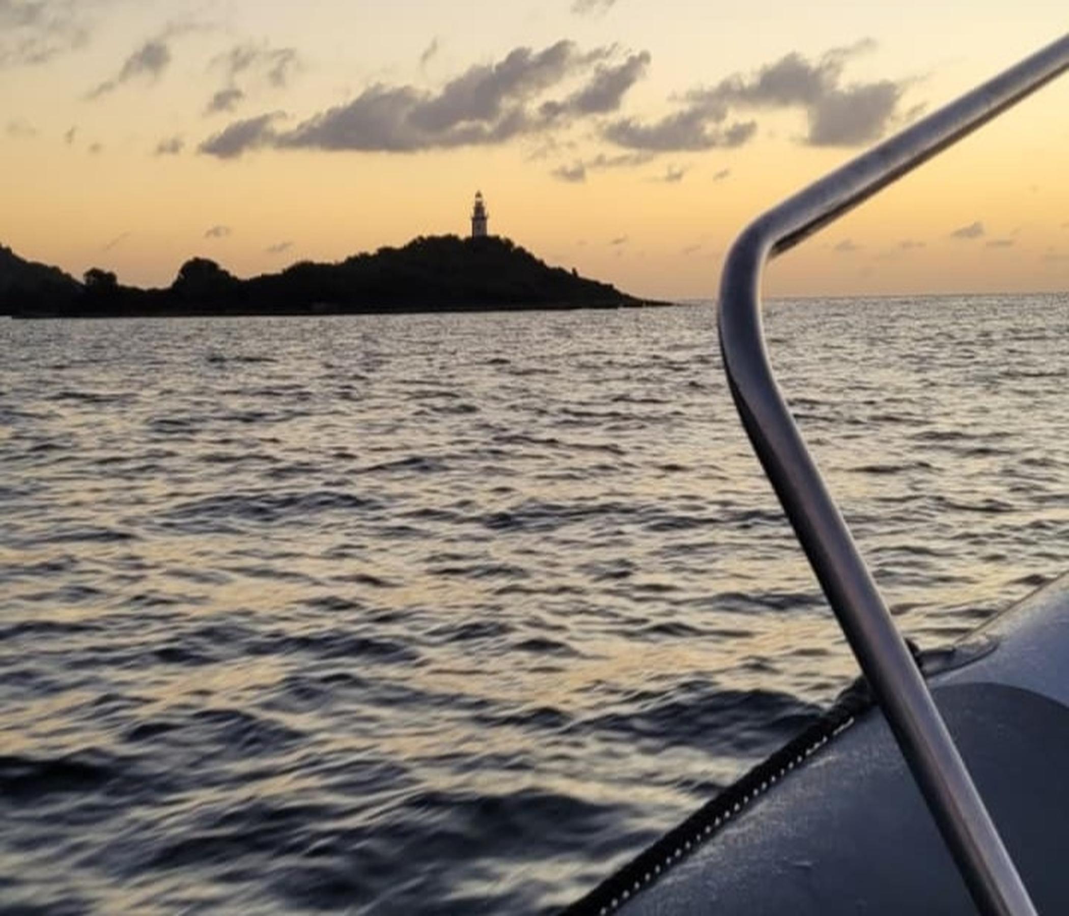 Alcudia Sea Explorer Delfine - Bootsfahrt