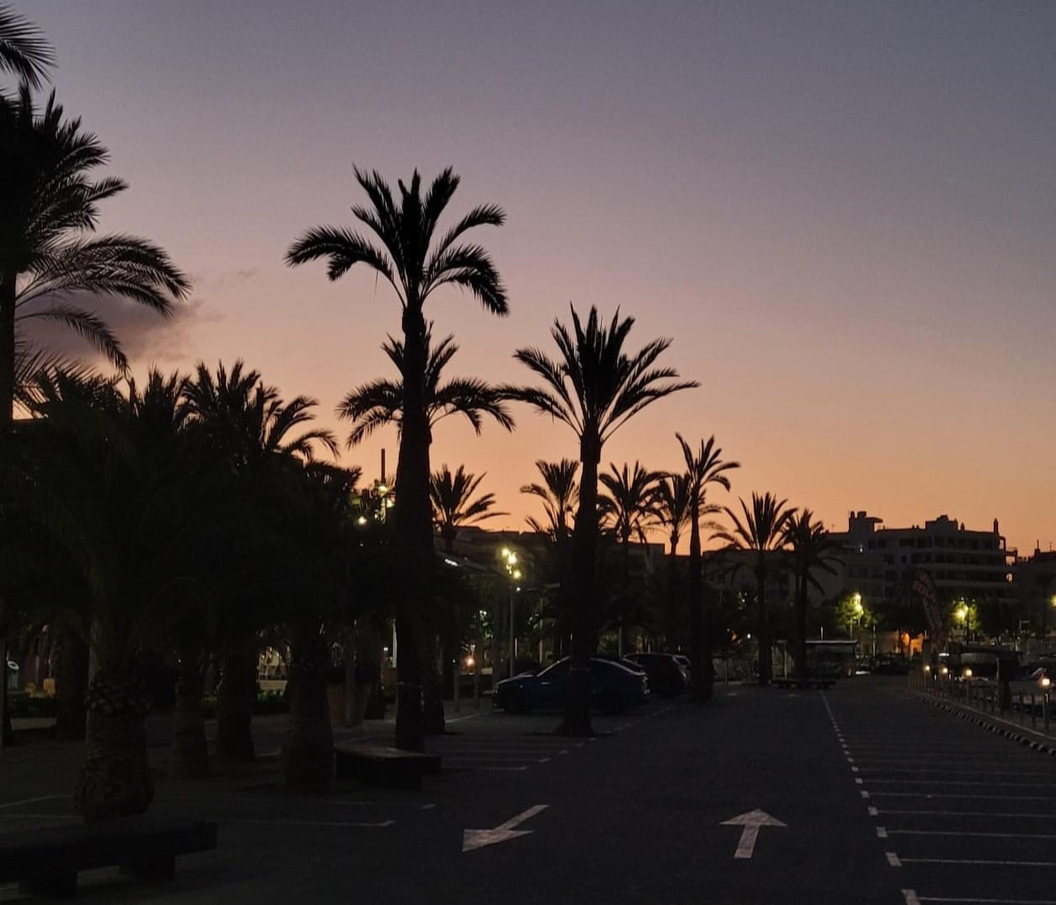 Alcudia Sea Explorer Delfine - Bootsfahrt